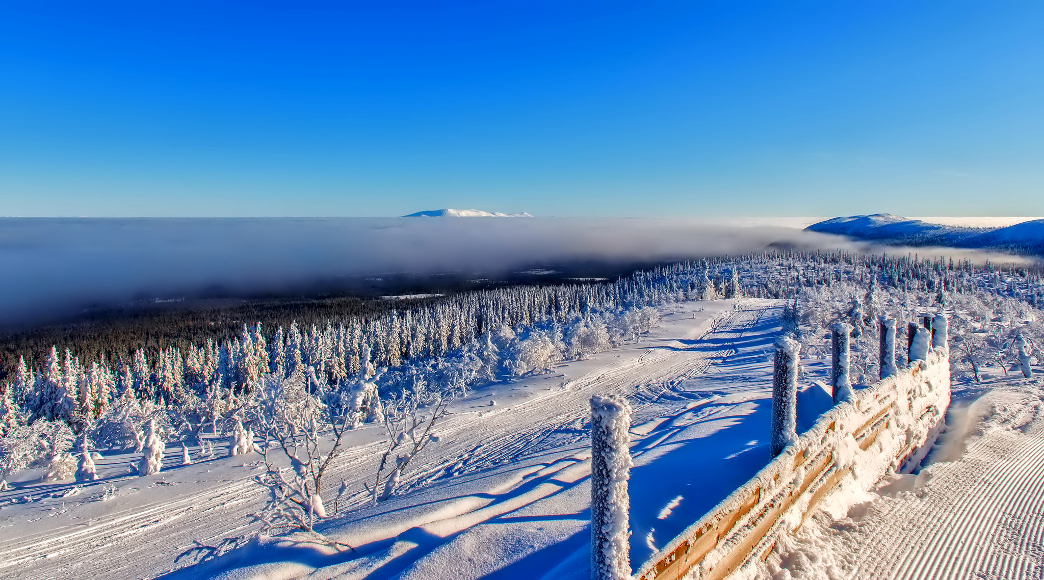 Laden Sie das Winter, Natur, Pfad, Zaun, Frost, Rauhreif-Bild kostenlos auf Ihren PC-Desktop herunter