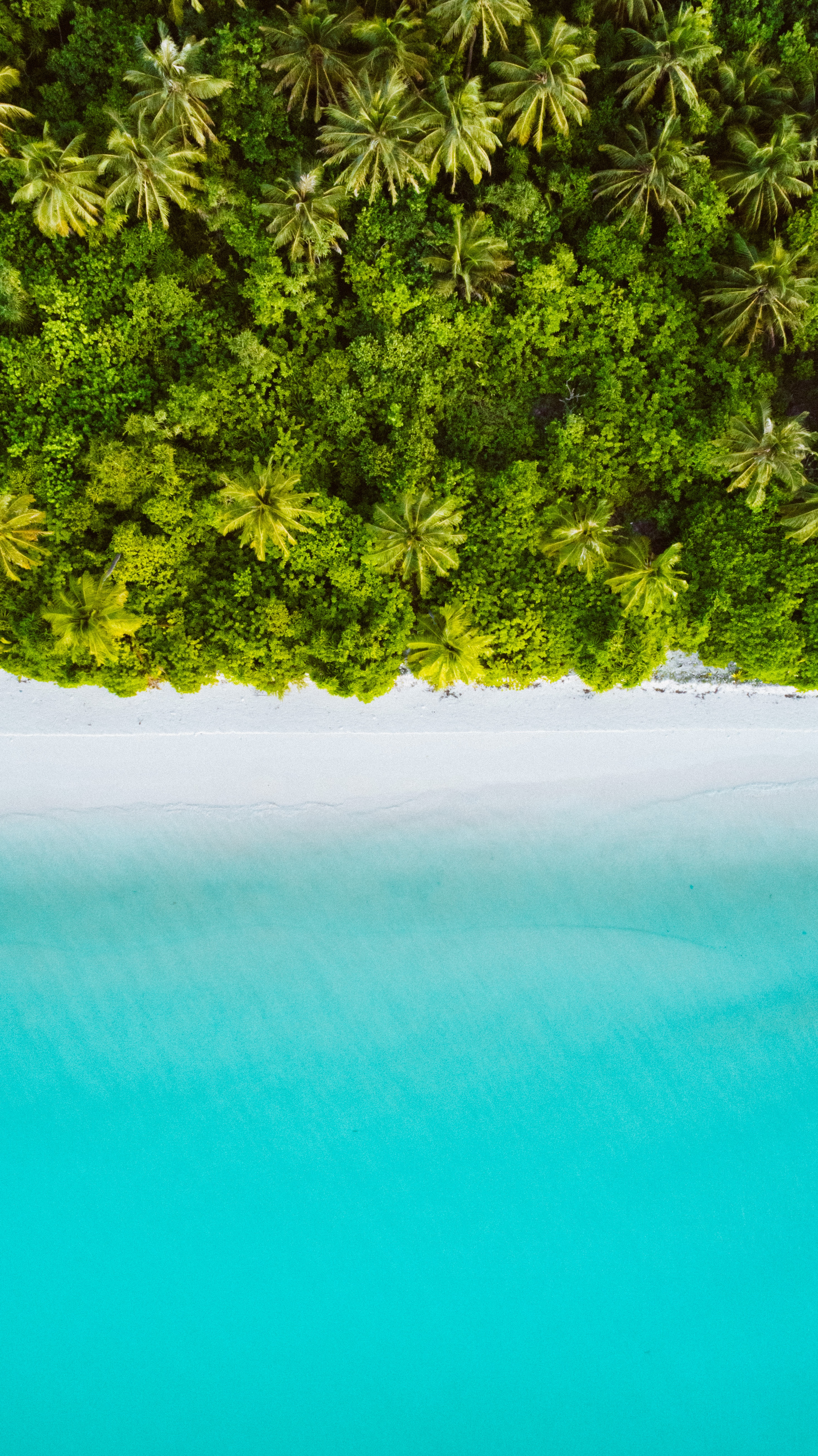 ocean, nature, beach, palms, view from above, tropics, maldives