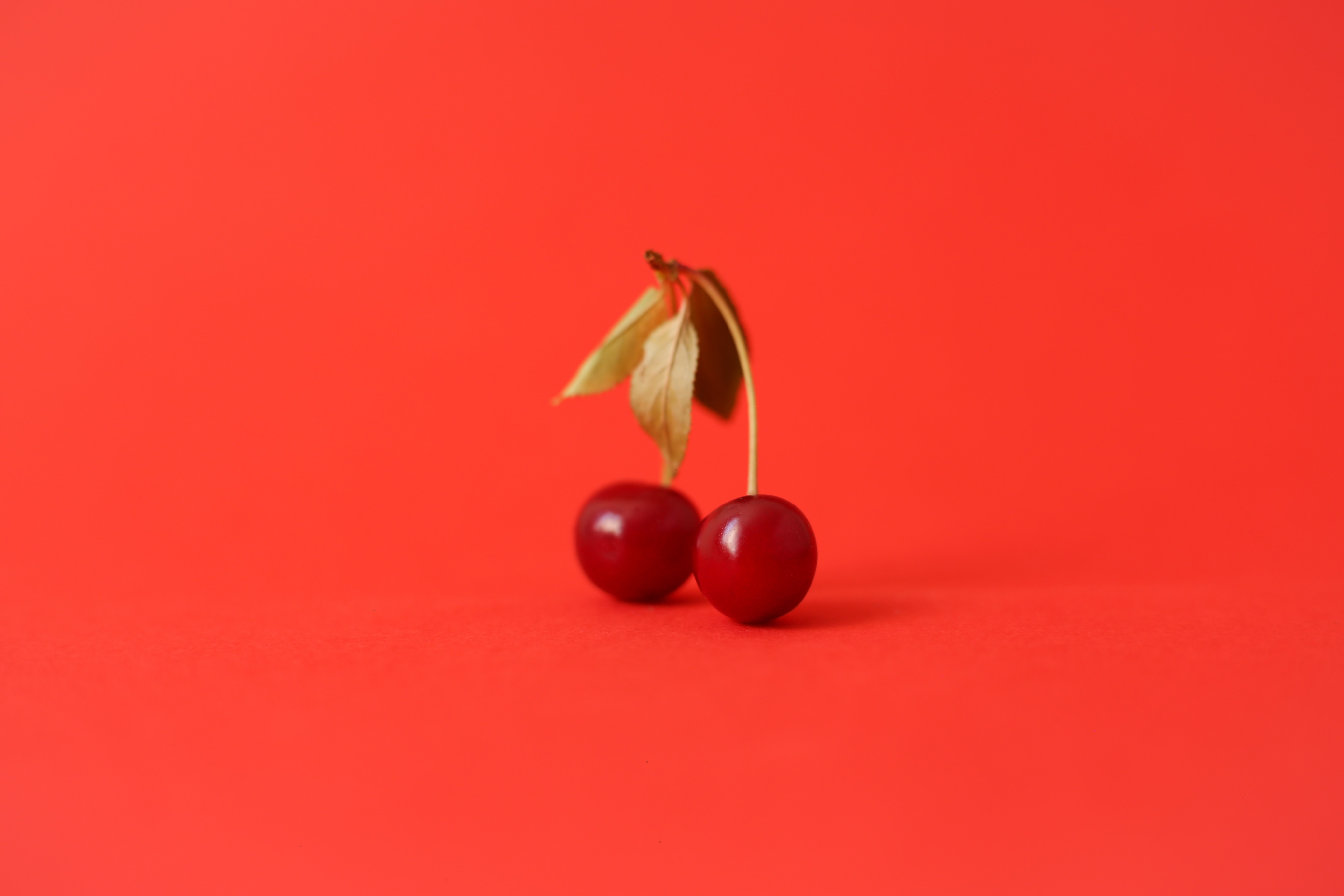 cherry, food, red, sheet, leaf, berry, fruit