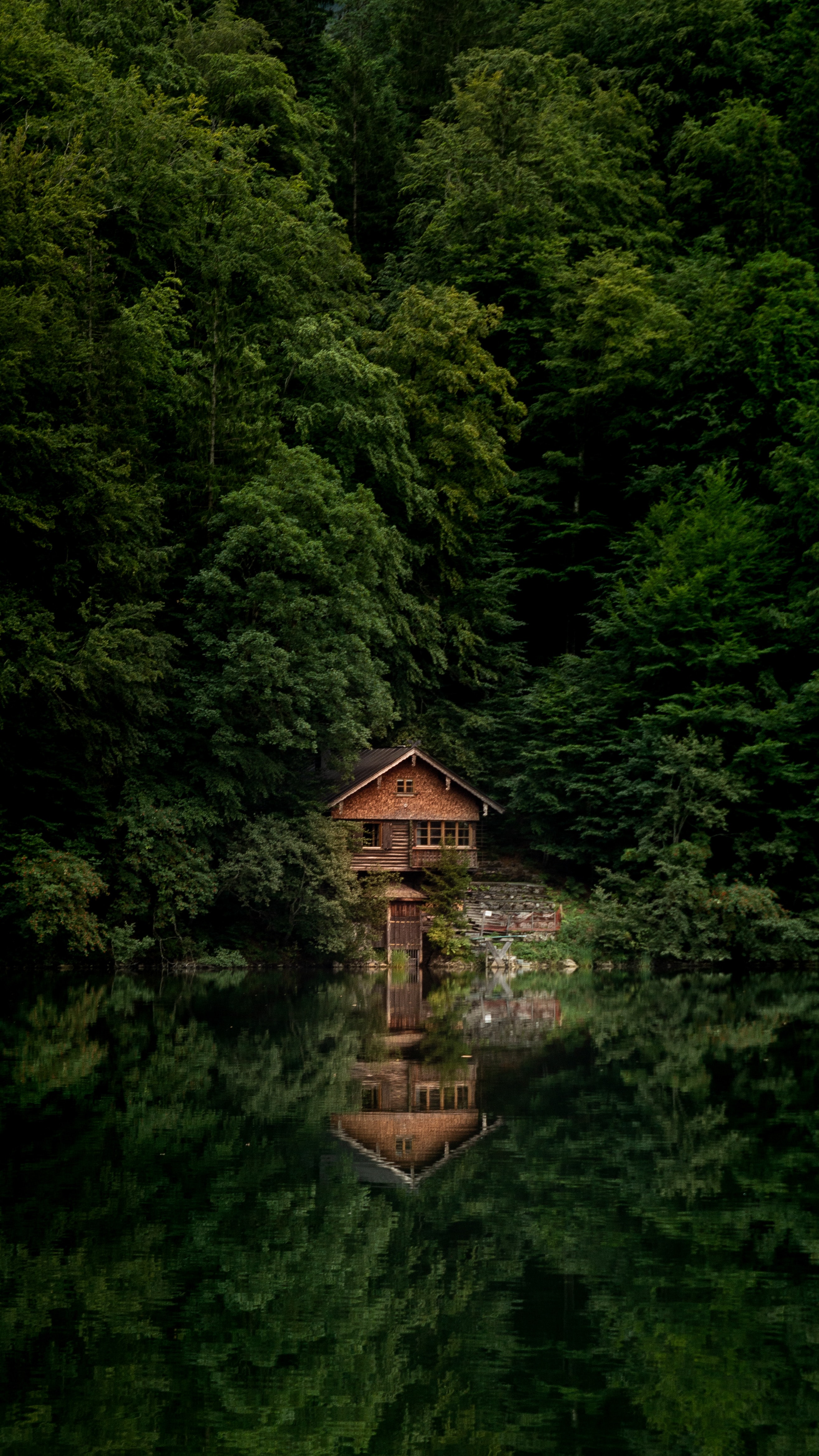 forest, house, nature, trees, lake, shore, bank