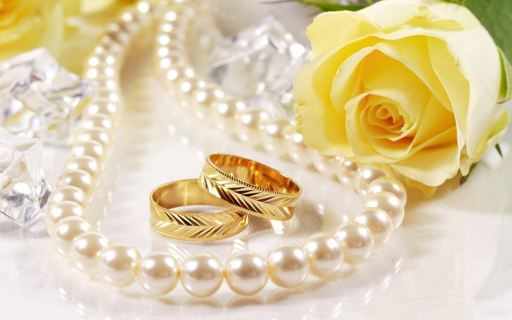 pearl, rings, beads, love, macro, rose flower, rose