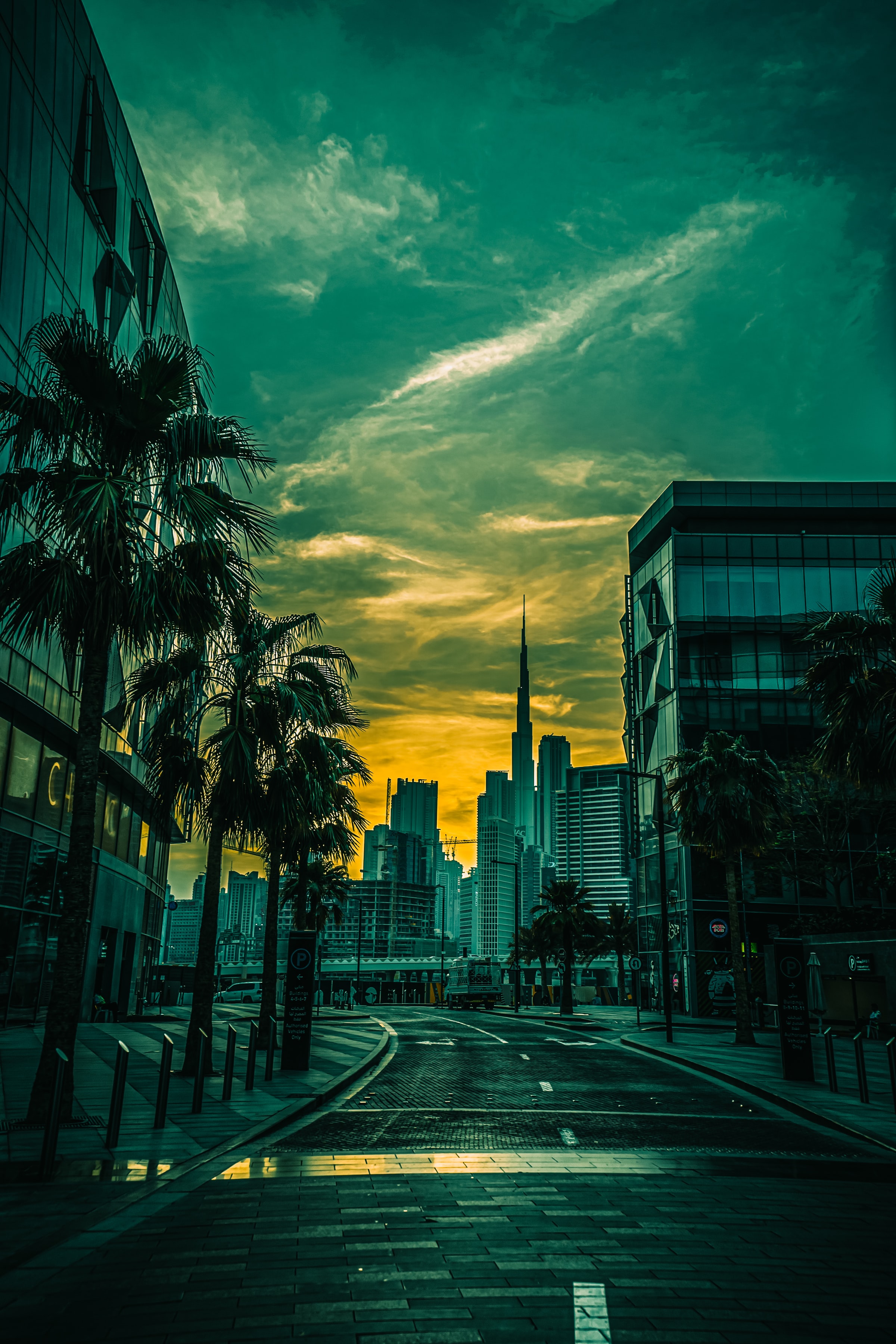 cities, architecture, palms, city, building Full HD