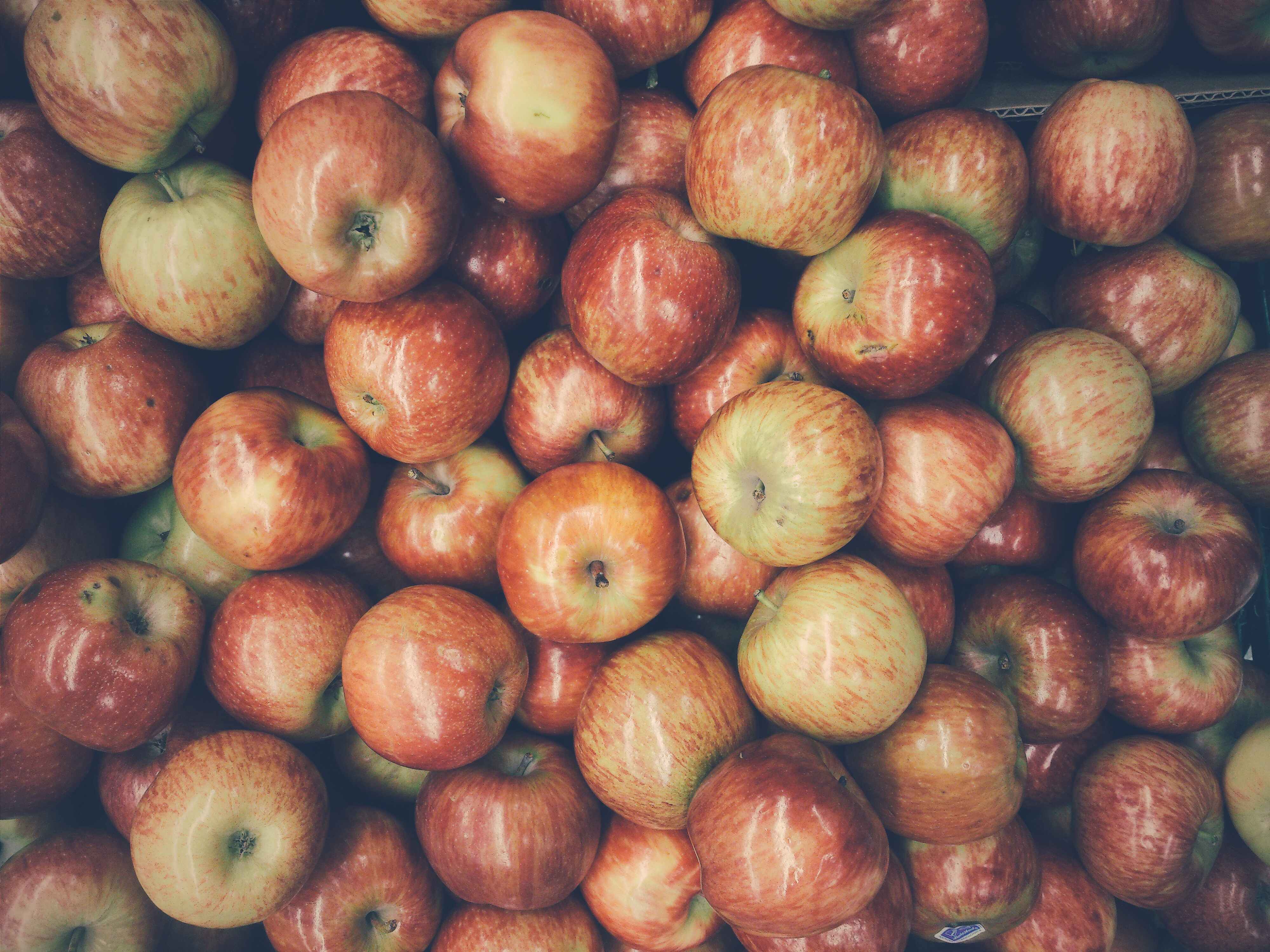 fruits, food, apples, ripe, harvest