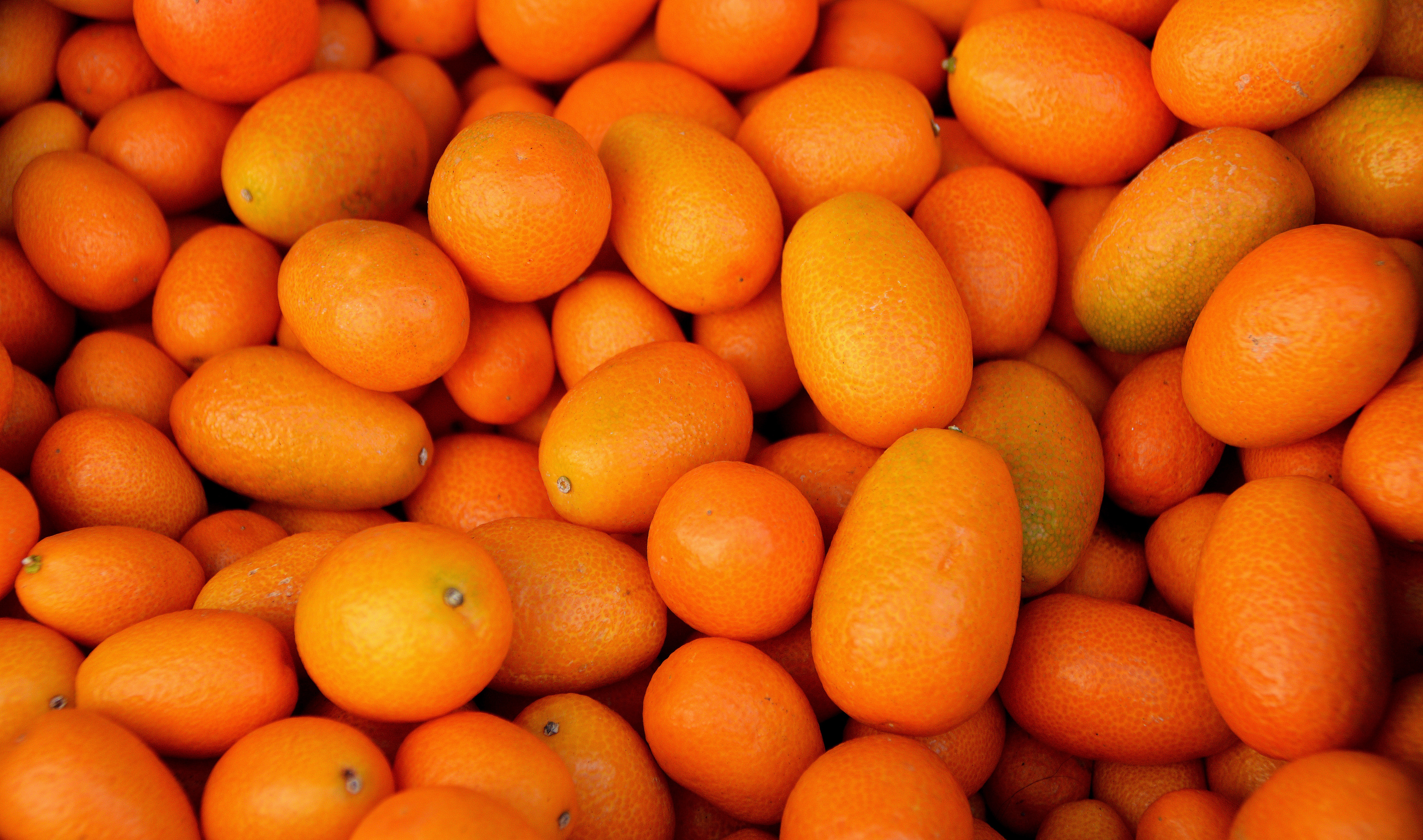 iPhone background kumquat, fruits, food