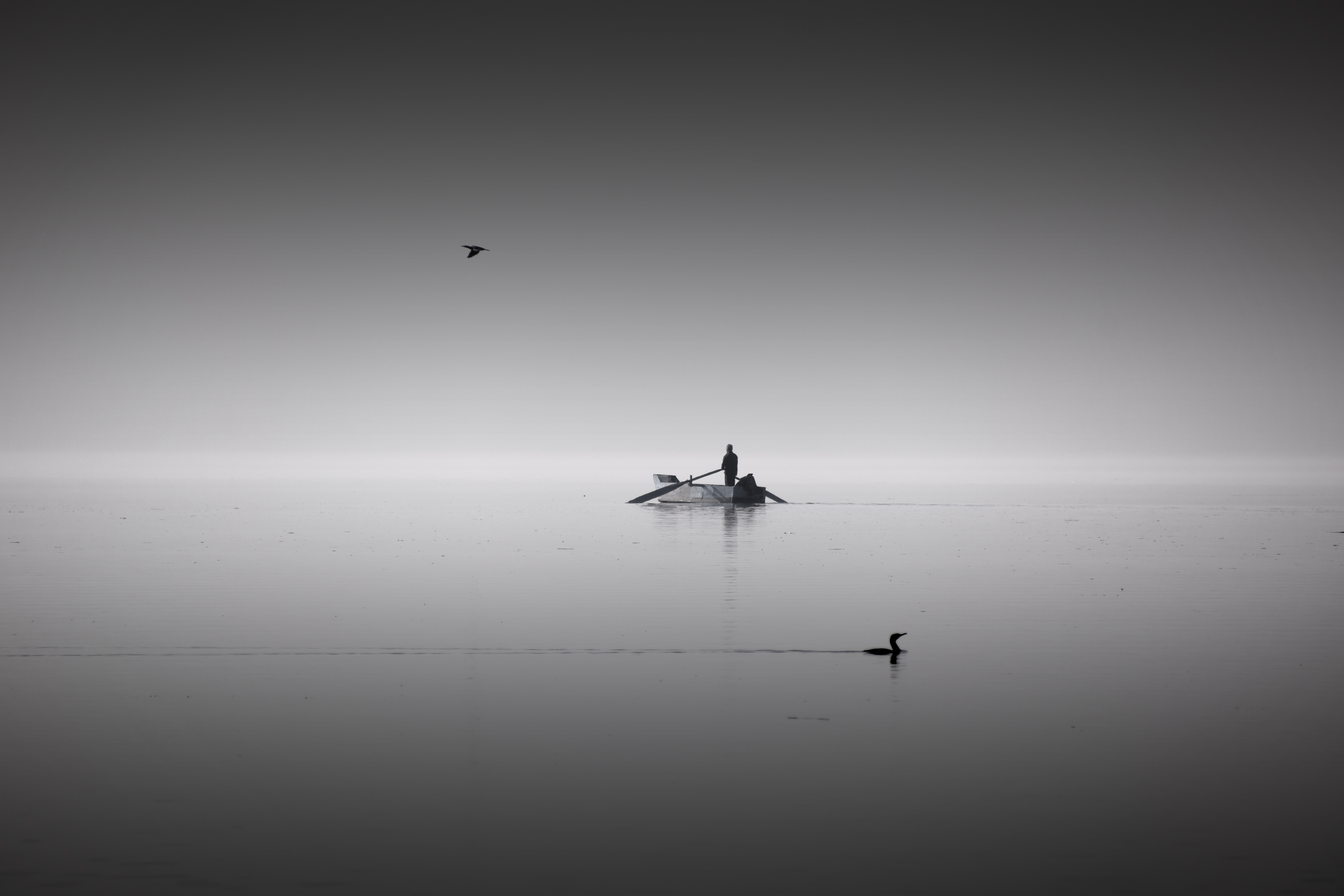 wallpapers boat, silence, birds, horizon, lake, minimalism, bw, chb, human, person, calm