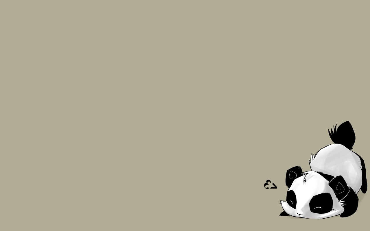 animal, panda