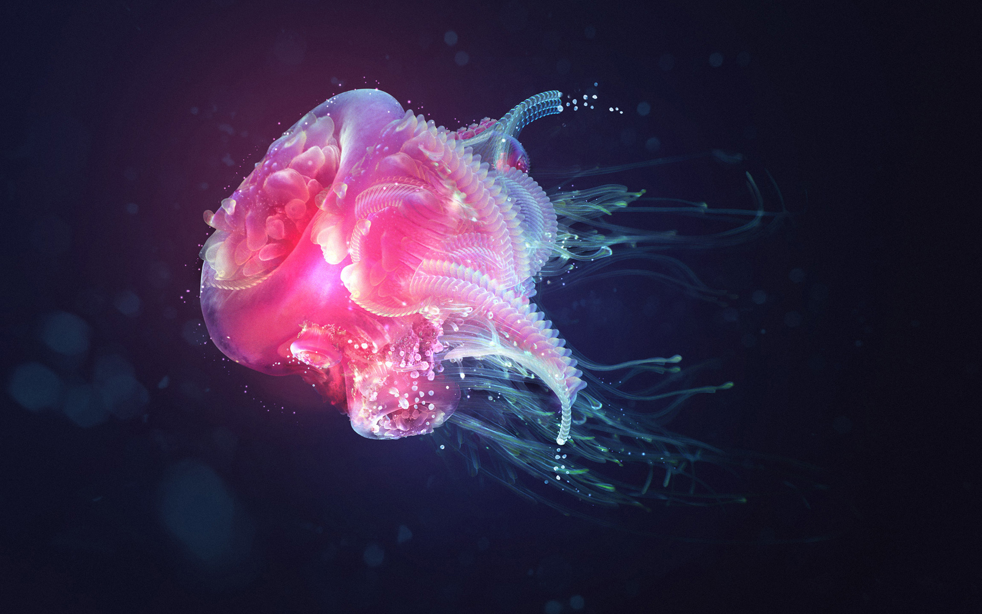  Jellyfish Full HD Wallpaper