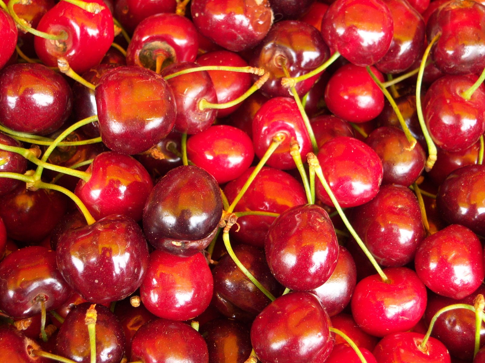 cherry, food, fruits Smartphone Background