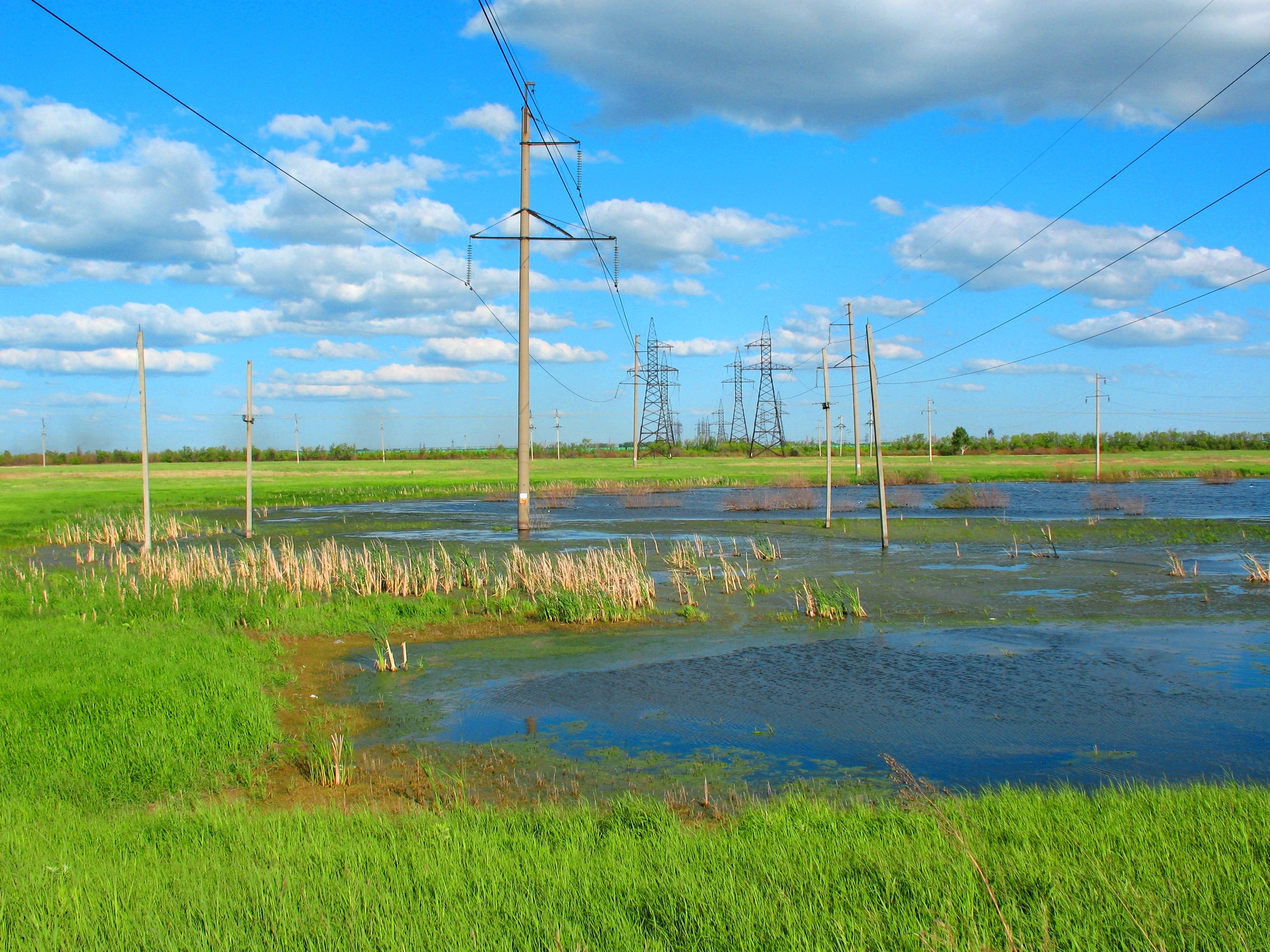electricity, nature, summer, swamp, steppe, wasteland, high voltage