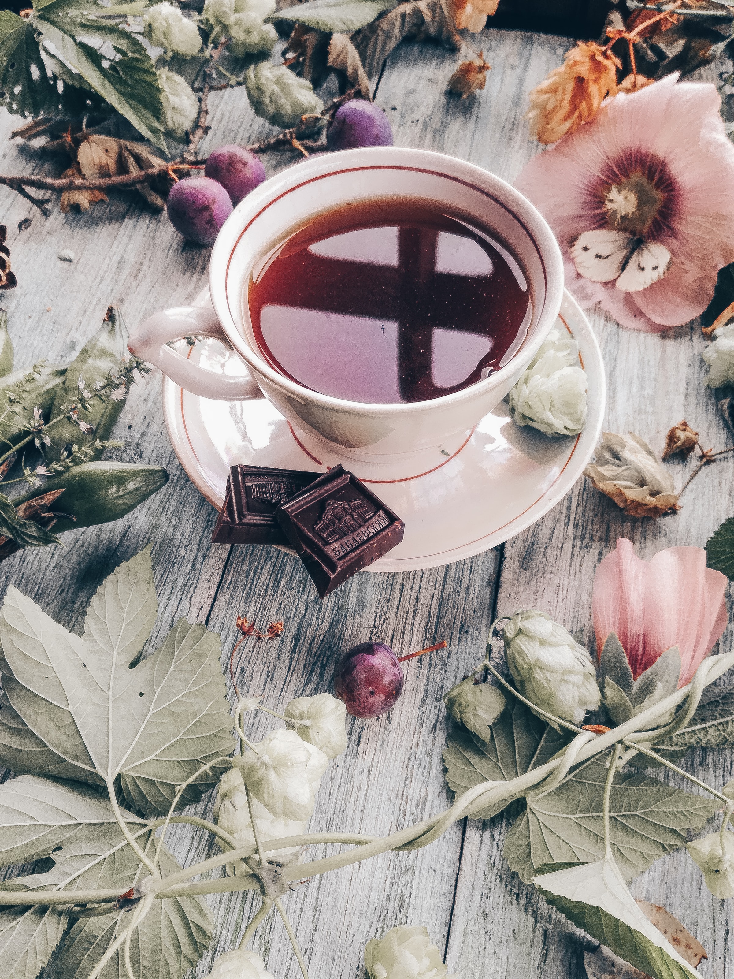chocolate, tea, flowers, plum Cup HD Android Wallpapers
