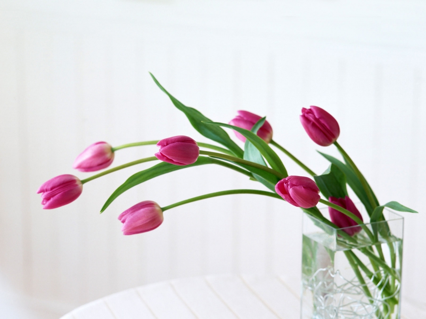 26838 économiseurs d'écran et fonds d'écran Bouquets sur votre téléphone. Téléchargez tulipes, blanc, plantes images gratuitement