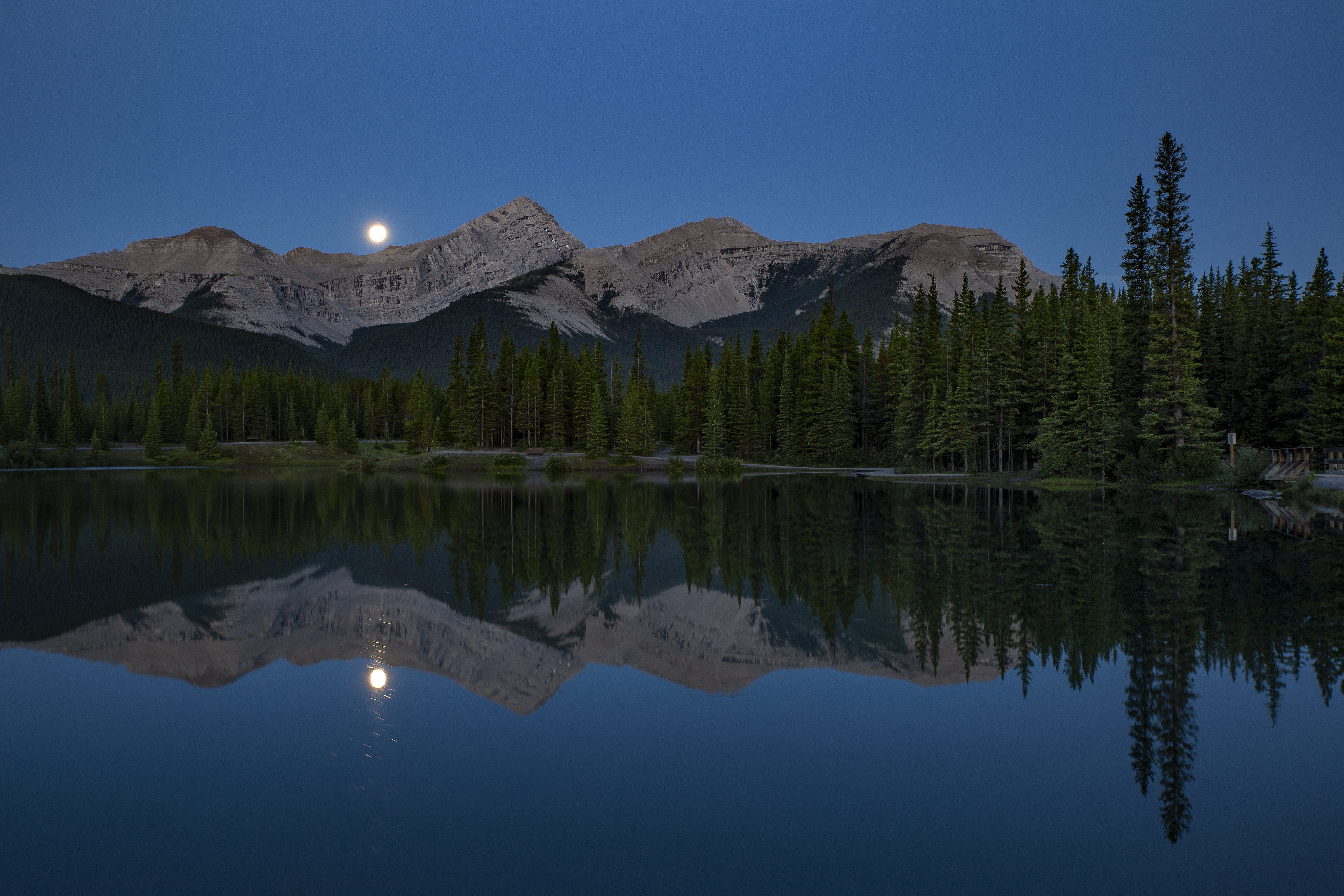 earth, reflection, alberta, canada, forest, moon, mountain, night, sky, spruce 32K