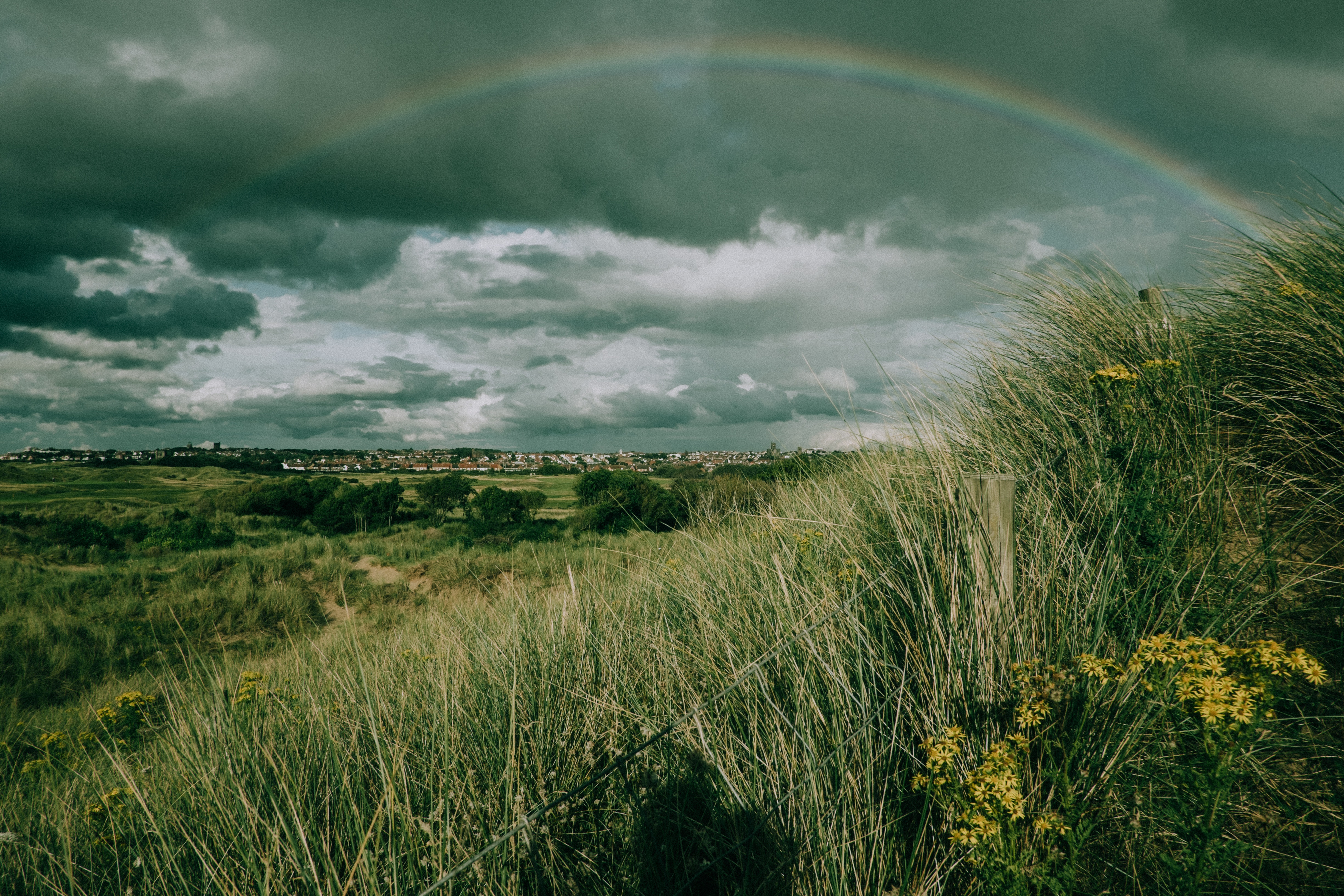 Laden Sie das Natur, Grass, Sky, Regenbogen, Feld-Bild kostenlos auf Ihren PC-Desktop herunter