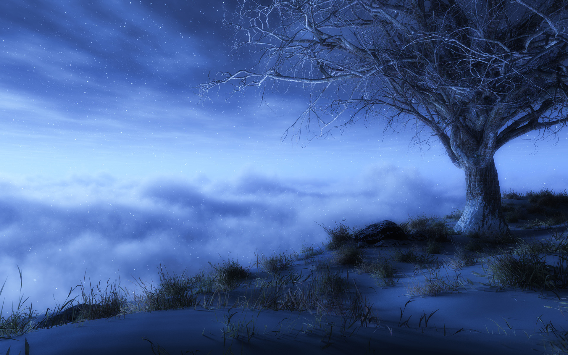 fantasy, artistic, sky, cloud, stars, fog, lonely tree, tree QHD