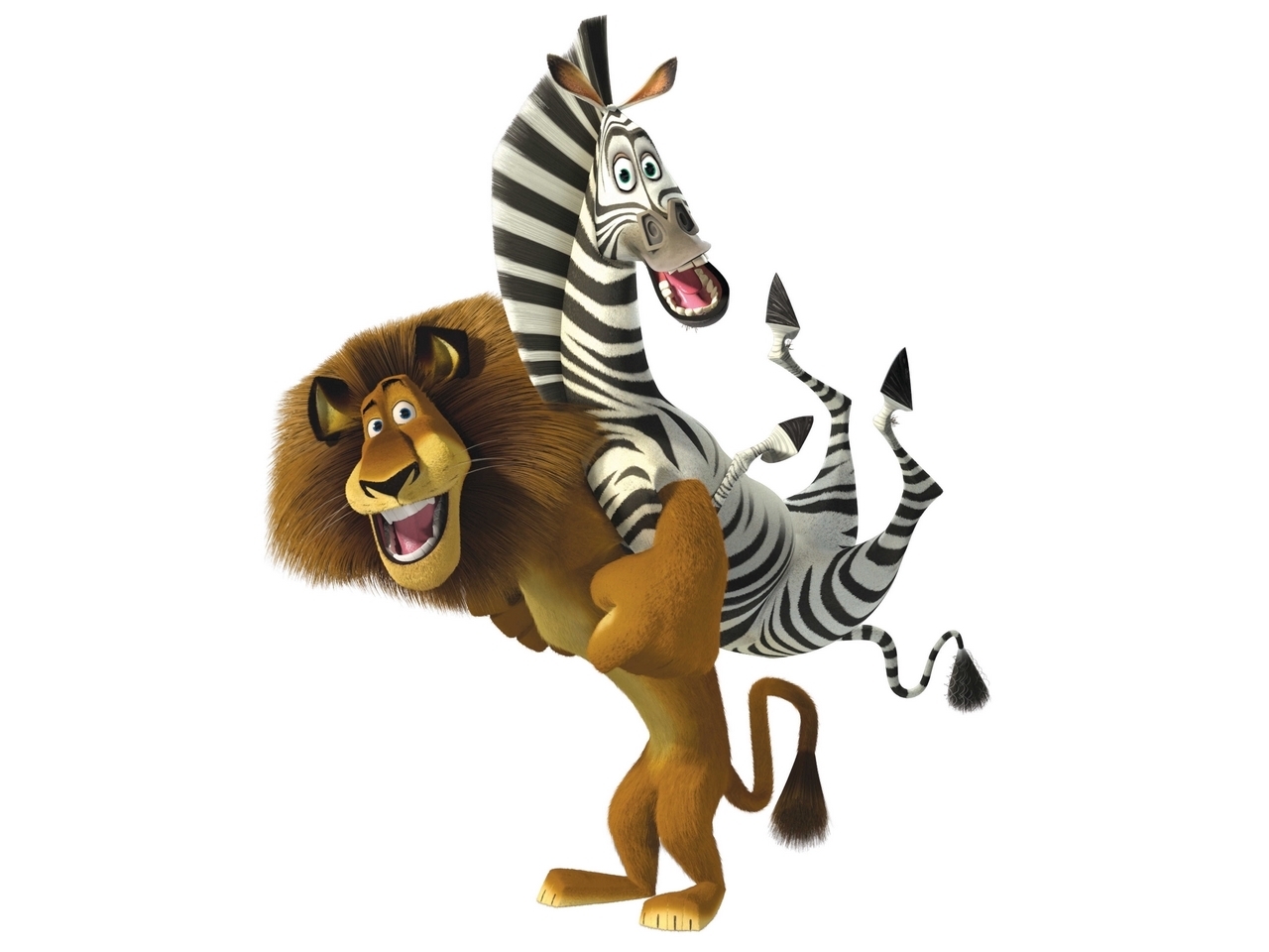 29090 download wallpaper cartoon, madagascar, white screensavers and pictures for free