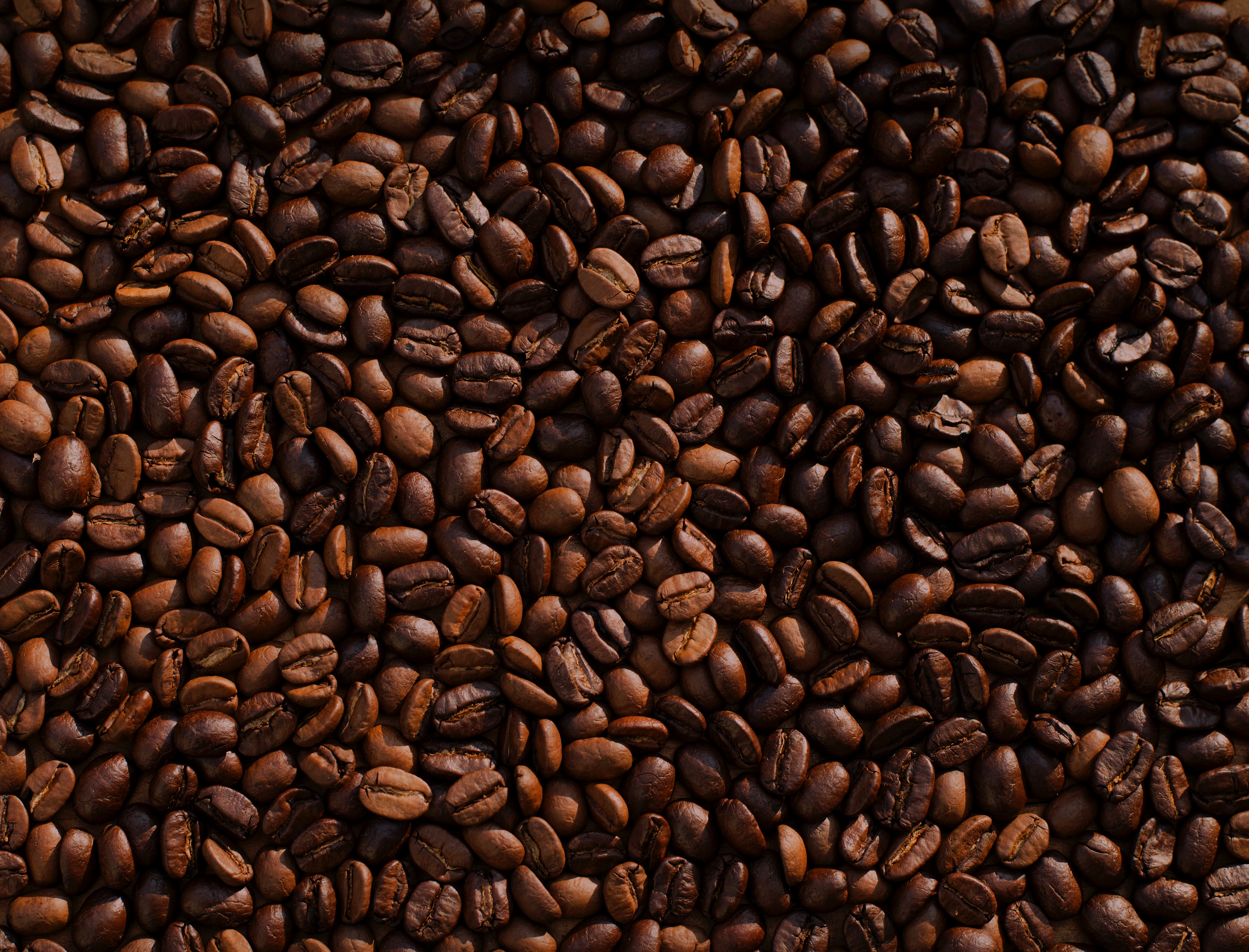 coffee beans, coffee, food, brown, fried, roasted