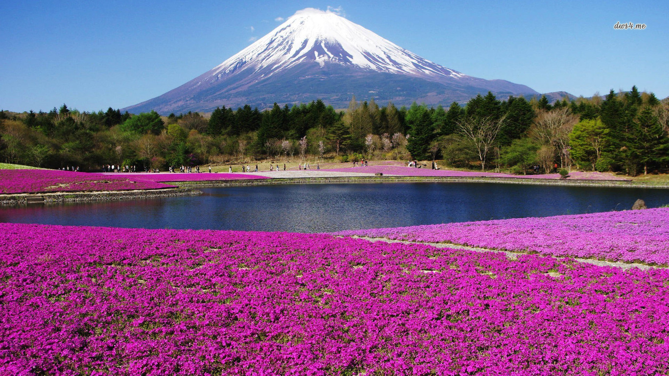 お使いの携帯電話の327512スクリーンセーバーと壁紙富士山。 の写真を無料でダウンロード