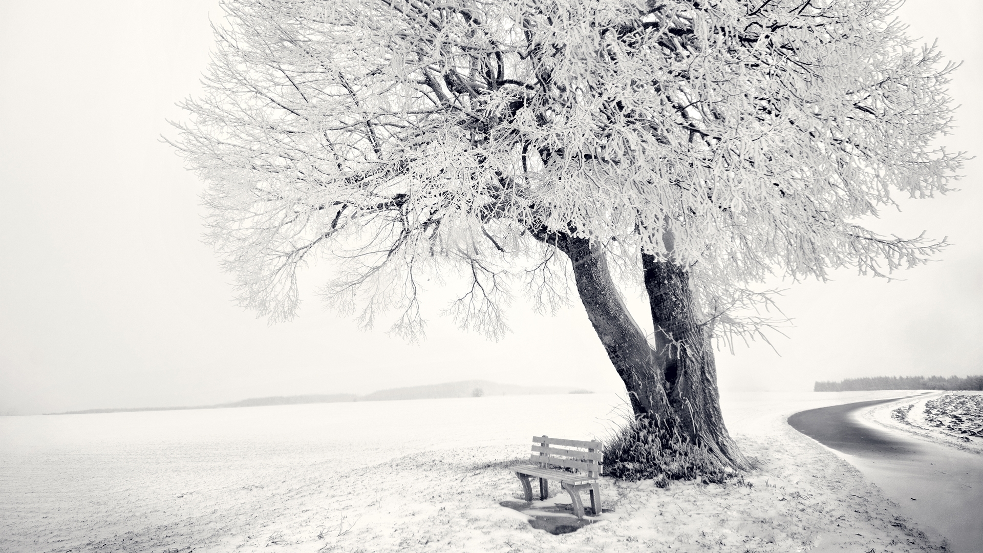 46398 free download Gray wallpapers for phone, snow, landscape, trees, objects Gray images and screensavers for mobile