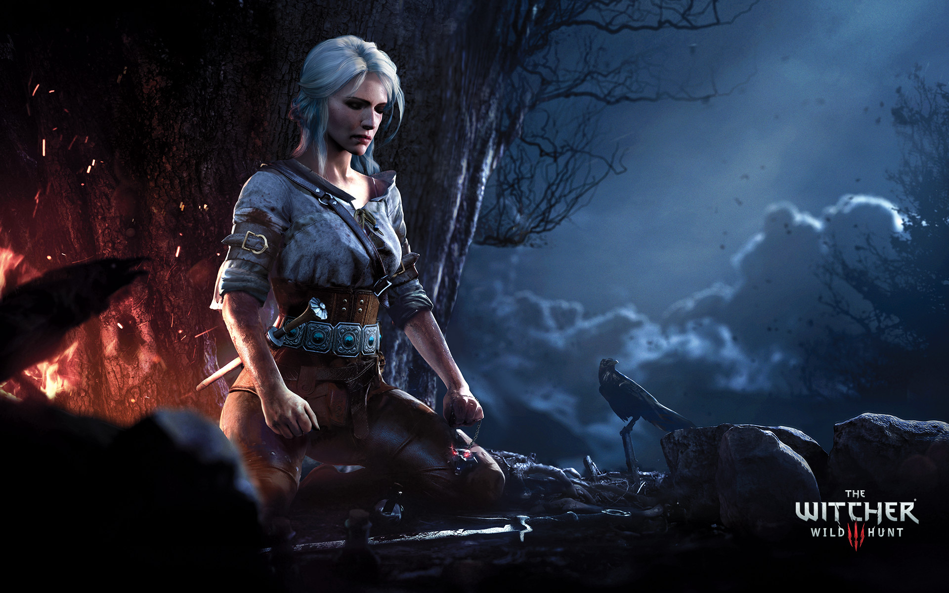 The witcher 3 на пк фото 91