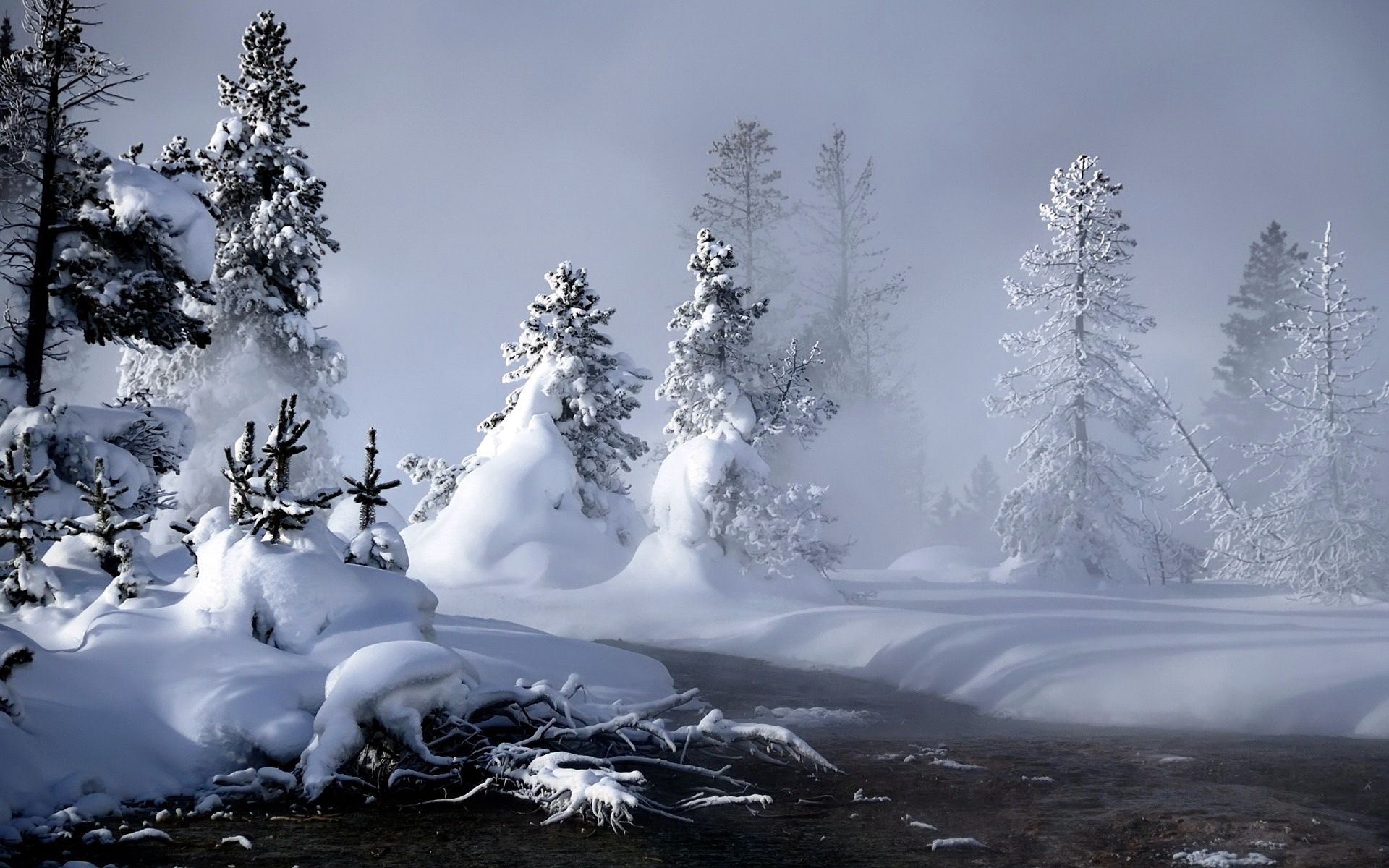 148292 download wallpaper winter, nature, rivers, trees, snow, fog, roots, steam screensavers and pictures for free