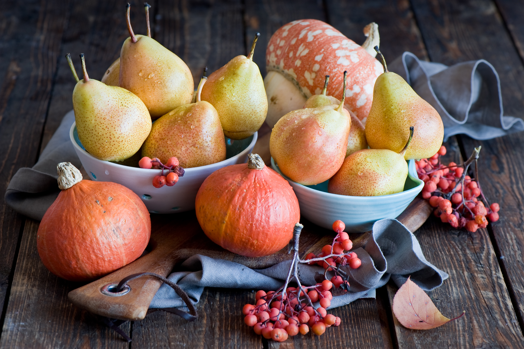 54740 download wallpaper food, pears, pumpkin, plate, rowan screensavers and pictures for free