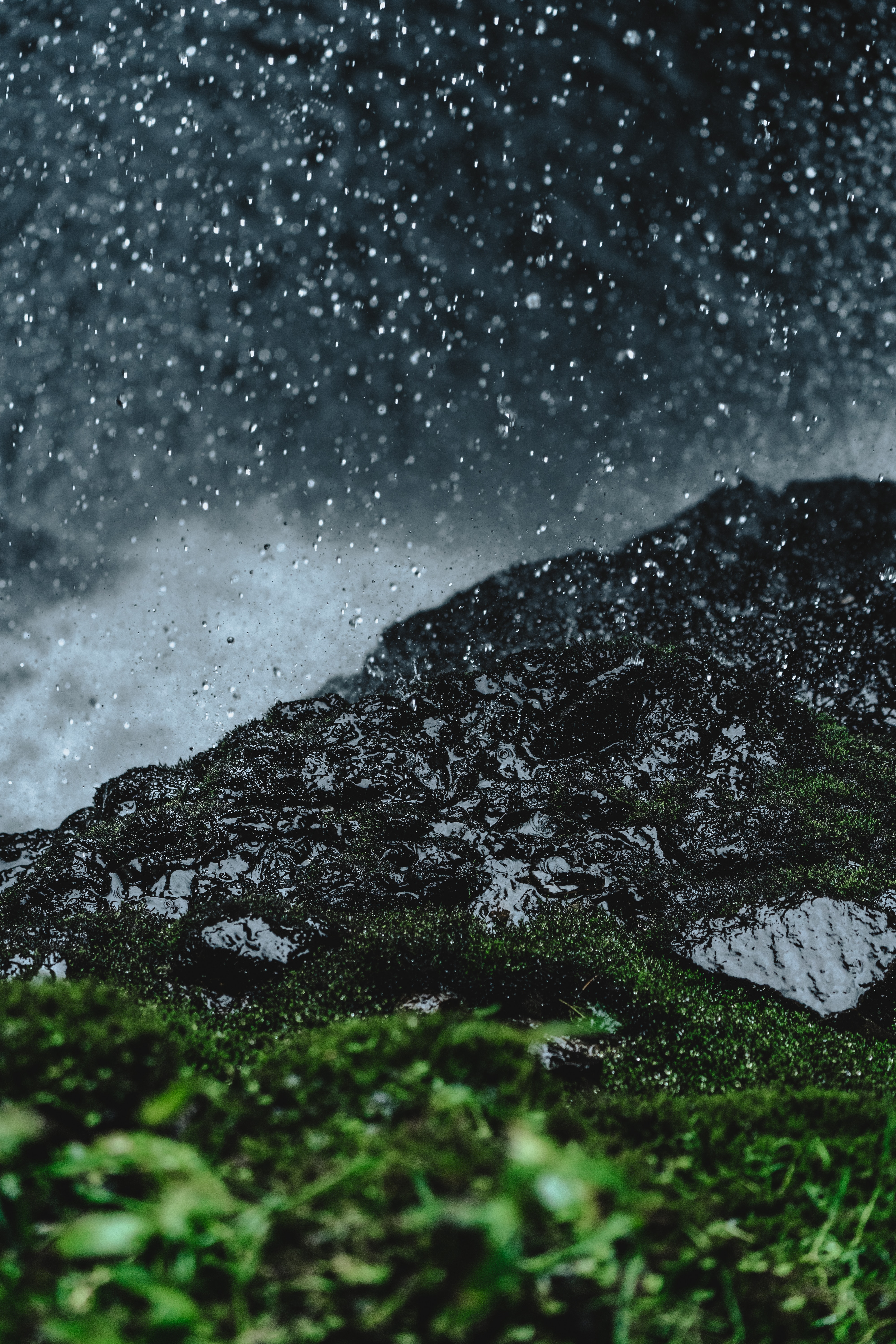 rain, earth, grass, drops, macro, land, moss iphone wallpaper