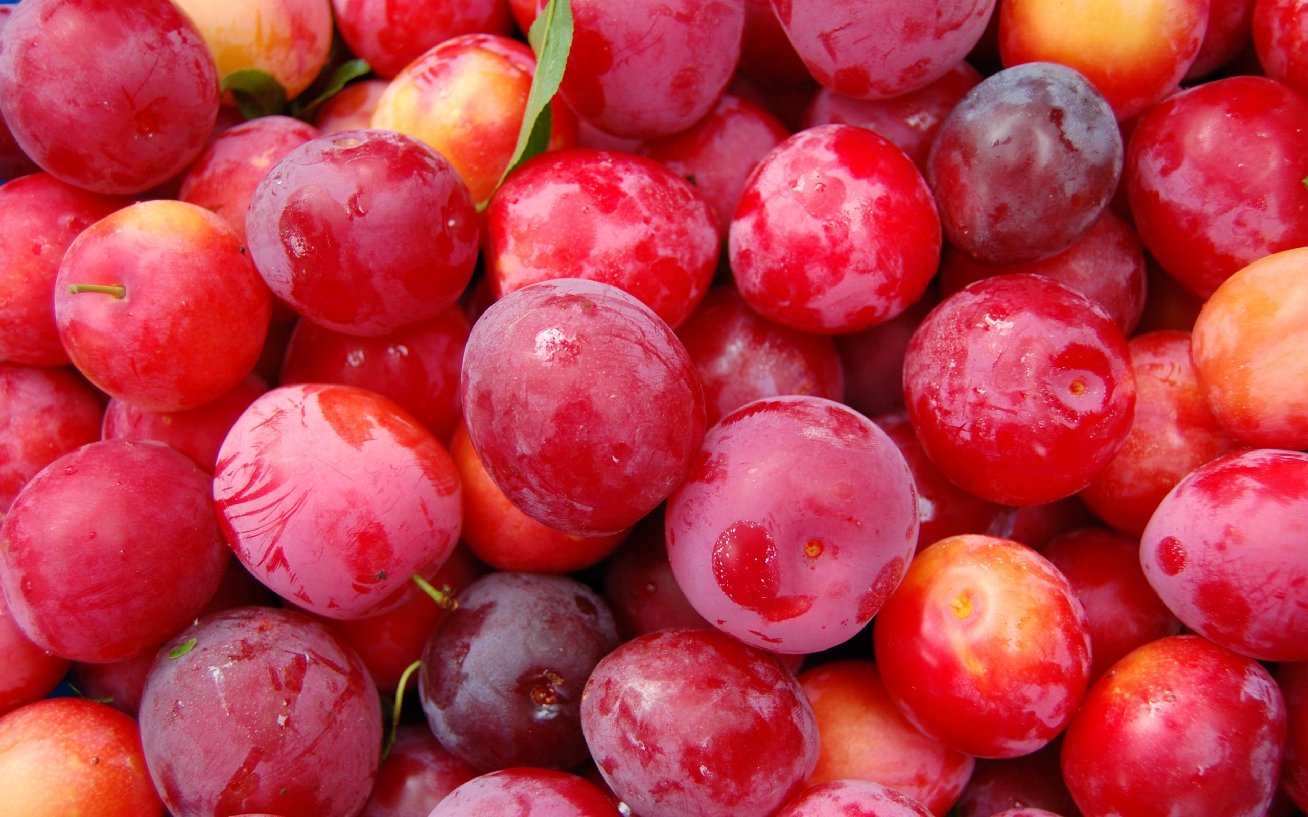 fruits, food, background, berries, plum, red