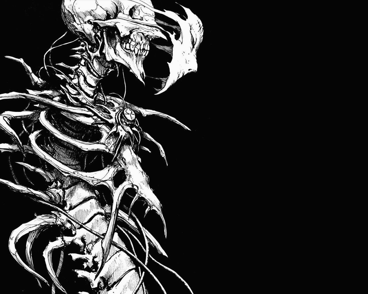 Скелет на черном фоне