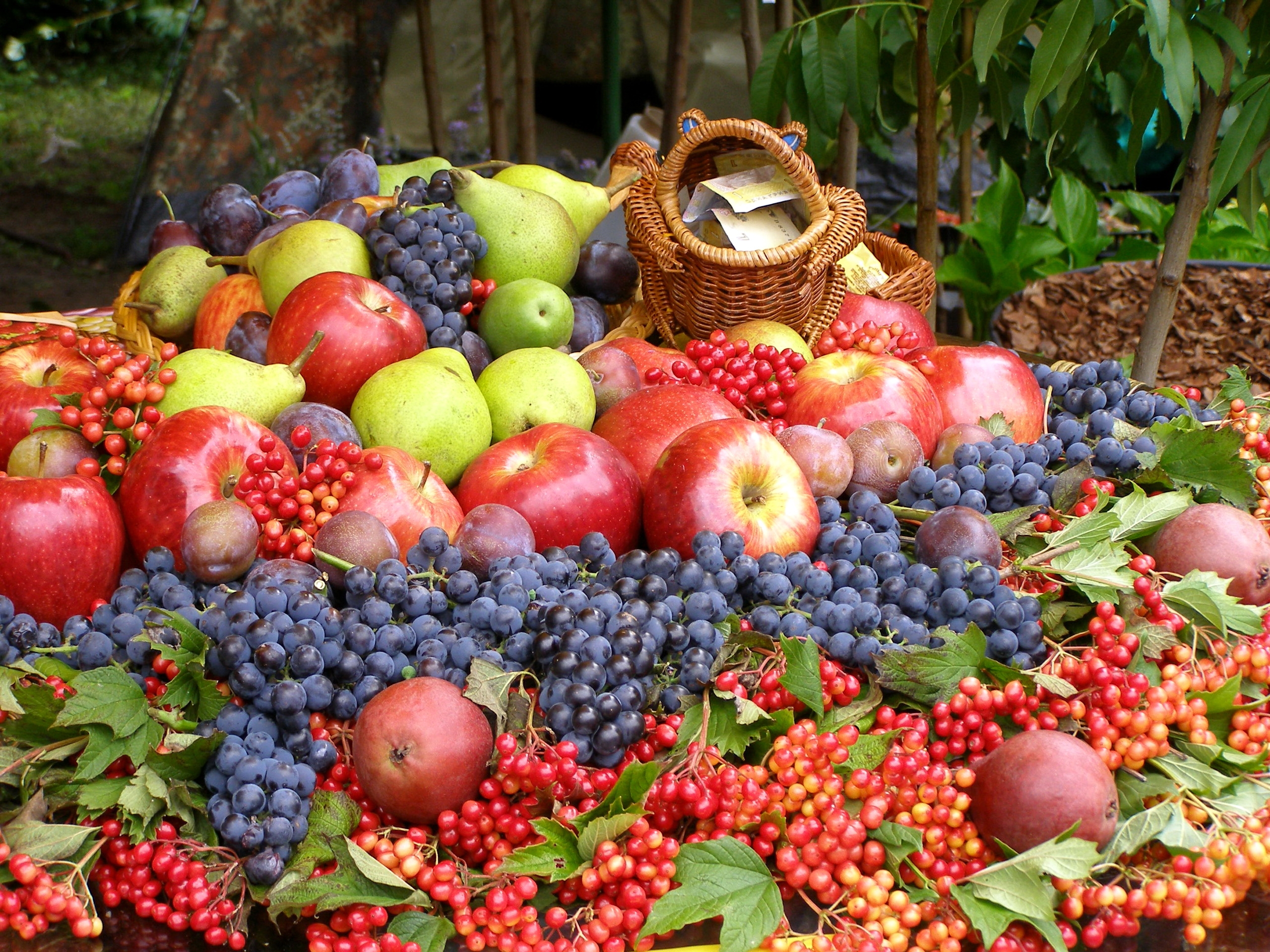 Mobile HD Wallpaper Grapes lot, fruits, food, apples