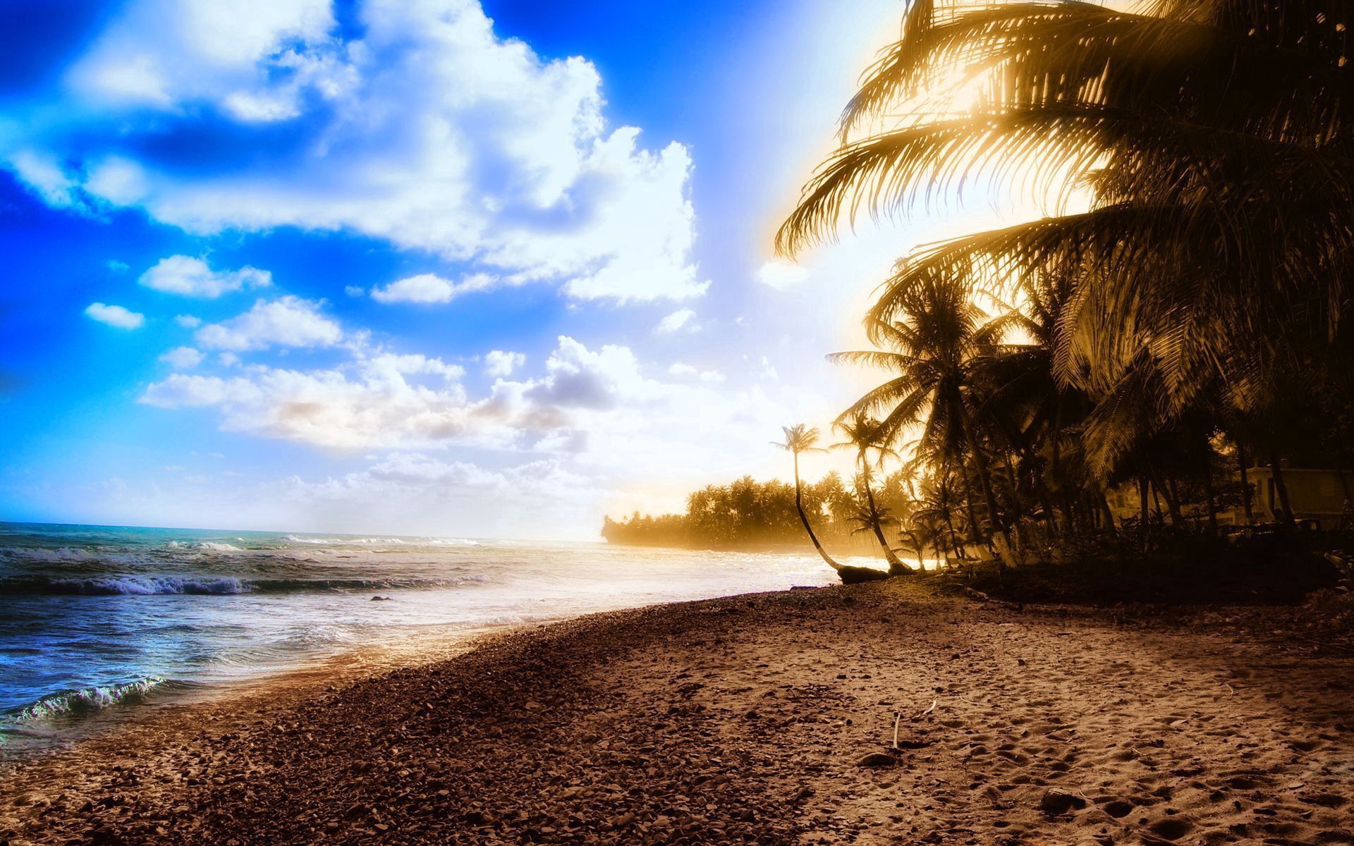 140552 Bild herunterladen natur, sky, sun, clouds, strand, palms, ufer, bank, scheinen, licht, hitze - Hintergrundbilder und Bildschirmschoner kostenlos