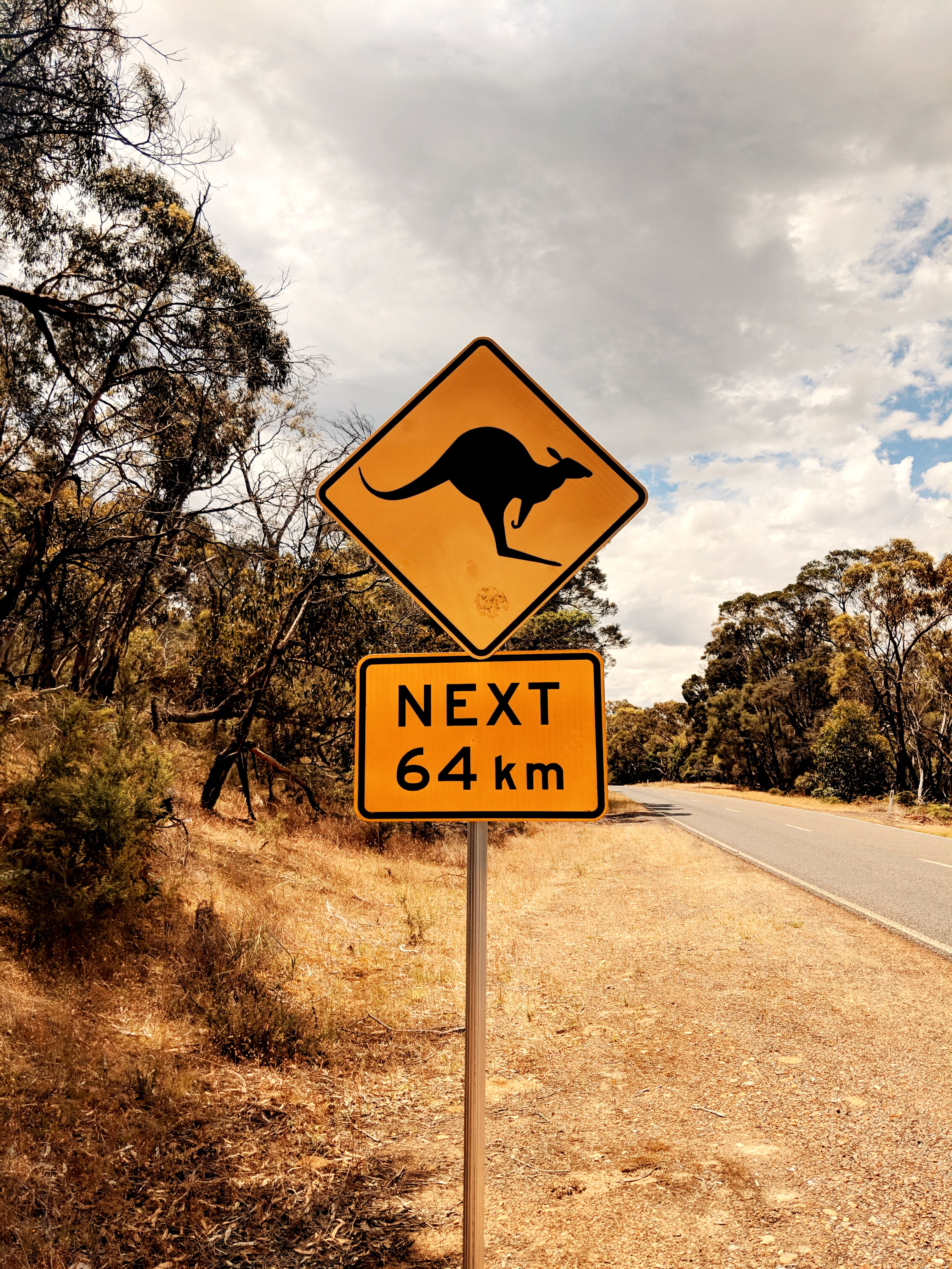 145844 Hintergrundbild herunterladen kangaroo, zeichen, die wörter, wörter, straße, schild, inschrift - Bildschirmschoner und Bilder kostenlos