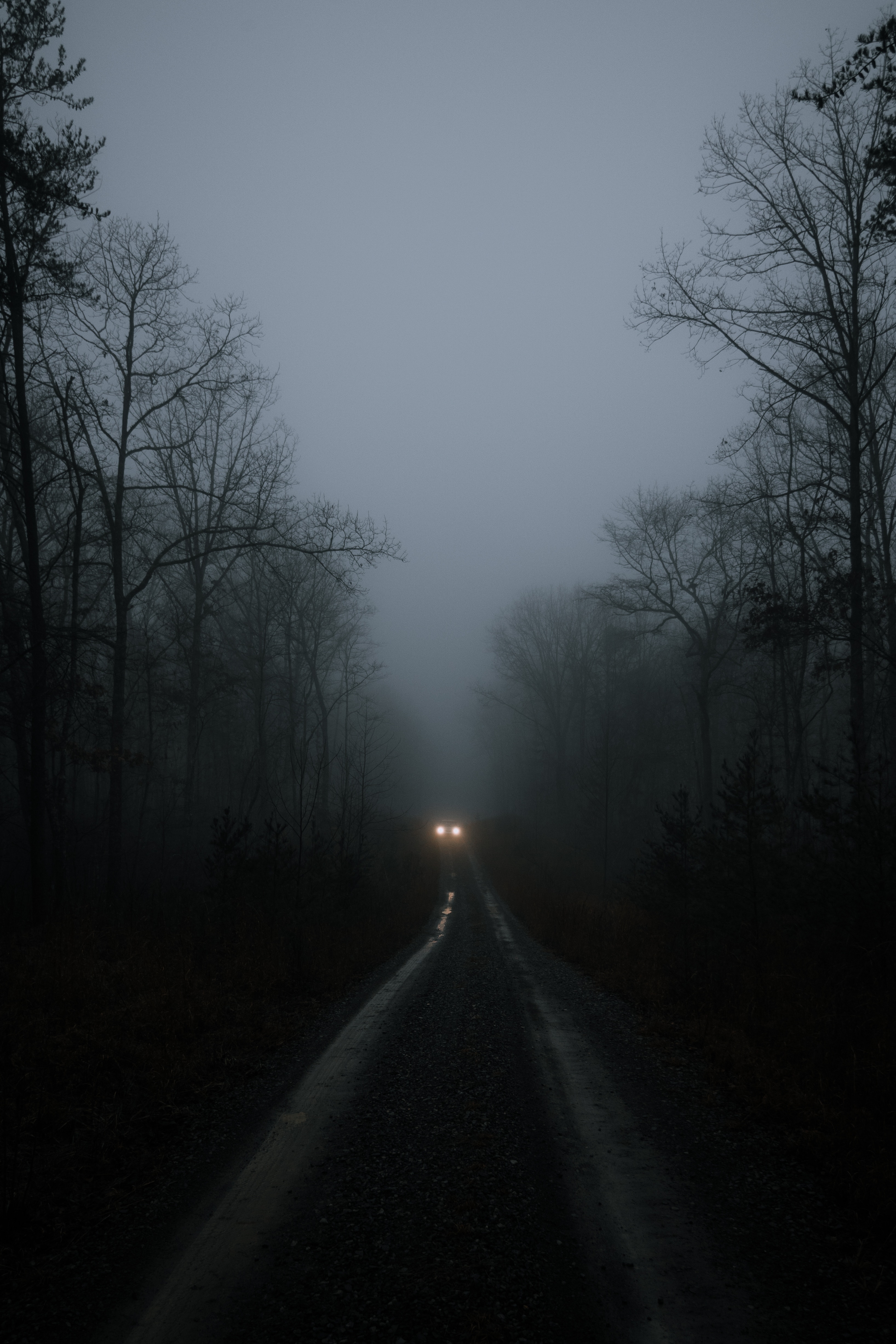 112162 download wallpaper road, trees, lights, dark, fog, car, headlights screensavers and pictures for free