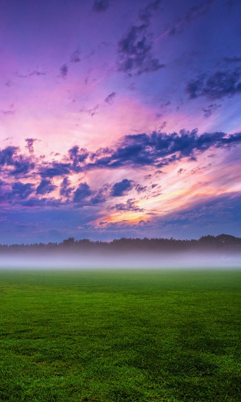 Mobile HD Wallpaper Fog earth, sunrise, grass, field
