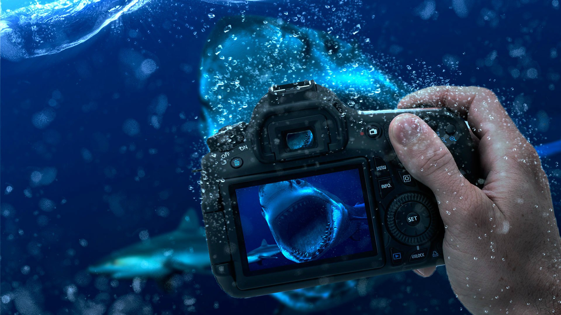 HD desktop wallpaper: Hand, Camera, Underwater, Shark, Man Made,  Manipulation download free picture #719828