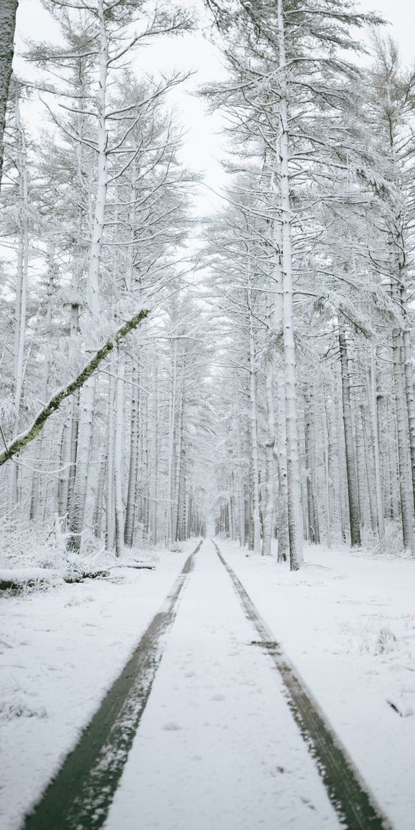 Hintergrundbild für Handys: Weihnachten, Winter, Kunst, Mountains