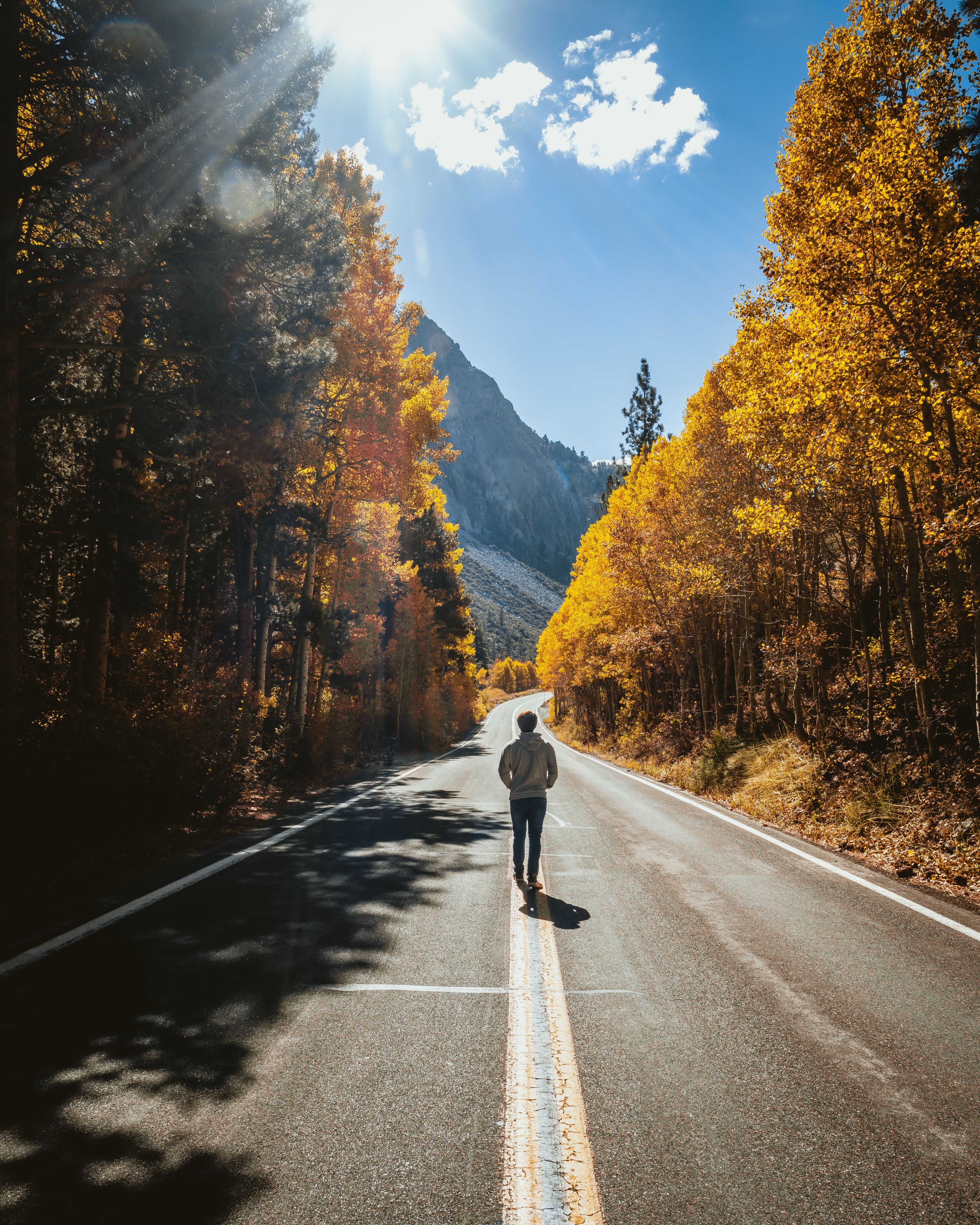 loneliness, human, autumn, nature, road, stroll, person, sunlight HD wallpaper