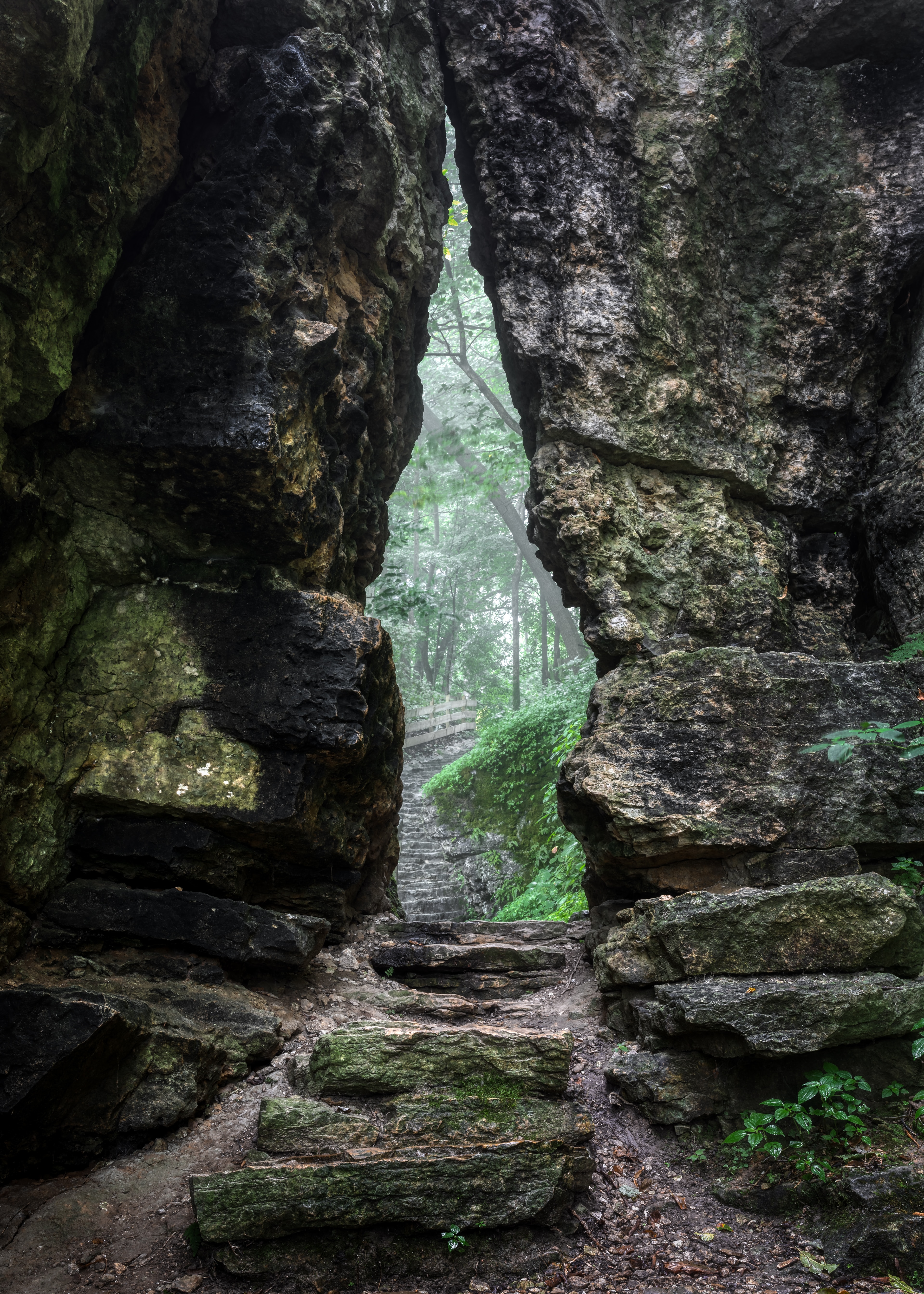 path, nature, rock, fog Free HD pic