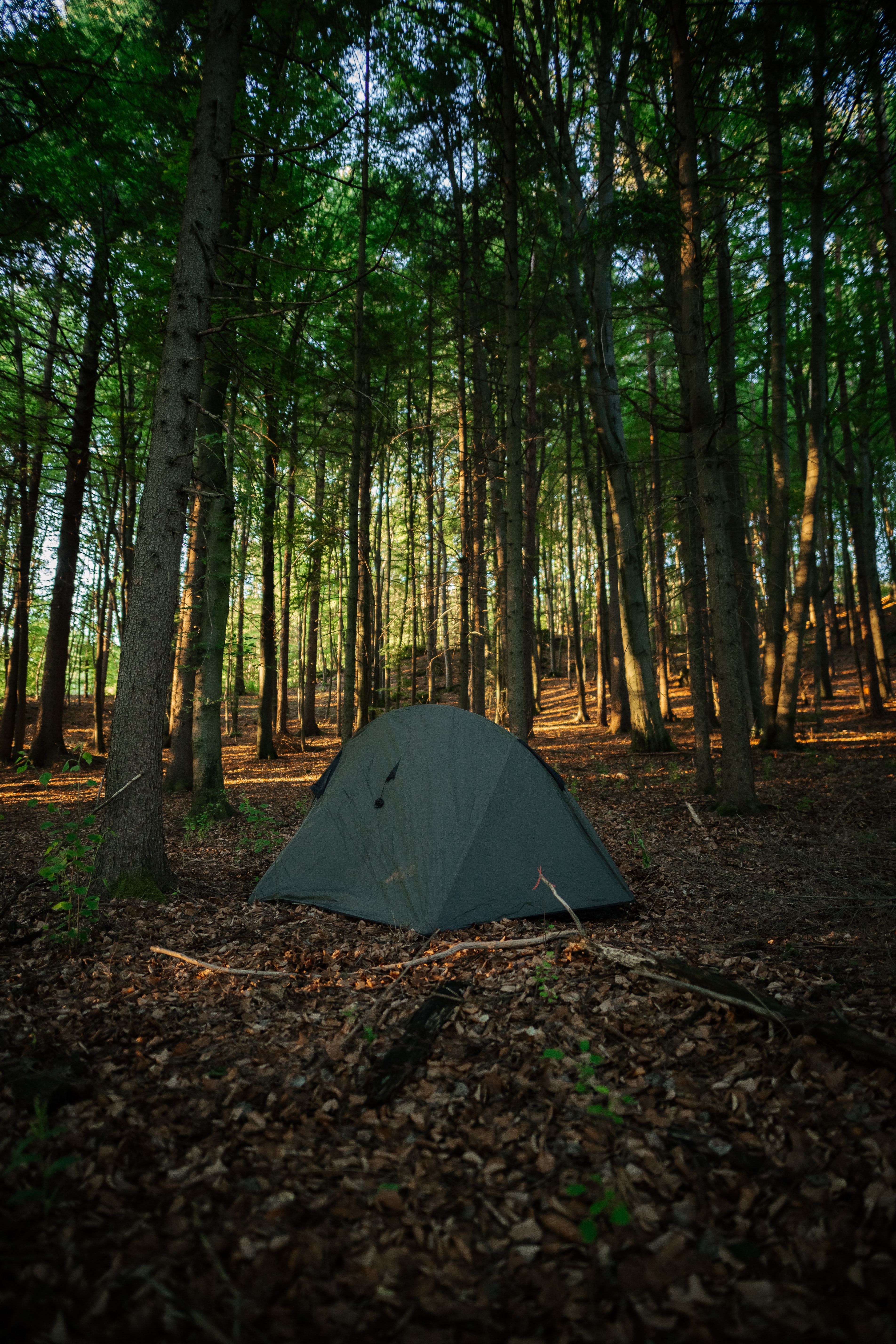 forest, tent, campsite, miscellaneous Lock Screen Images