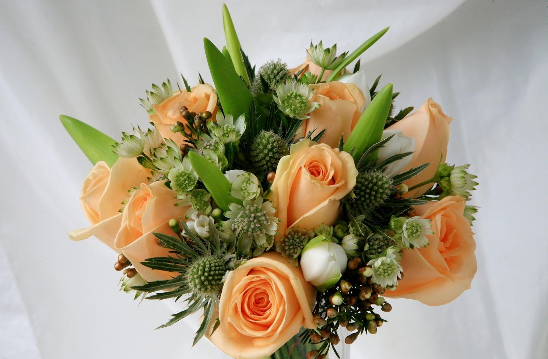 flowers, roses, registration, typography, bouquet, buds