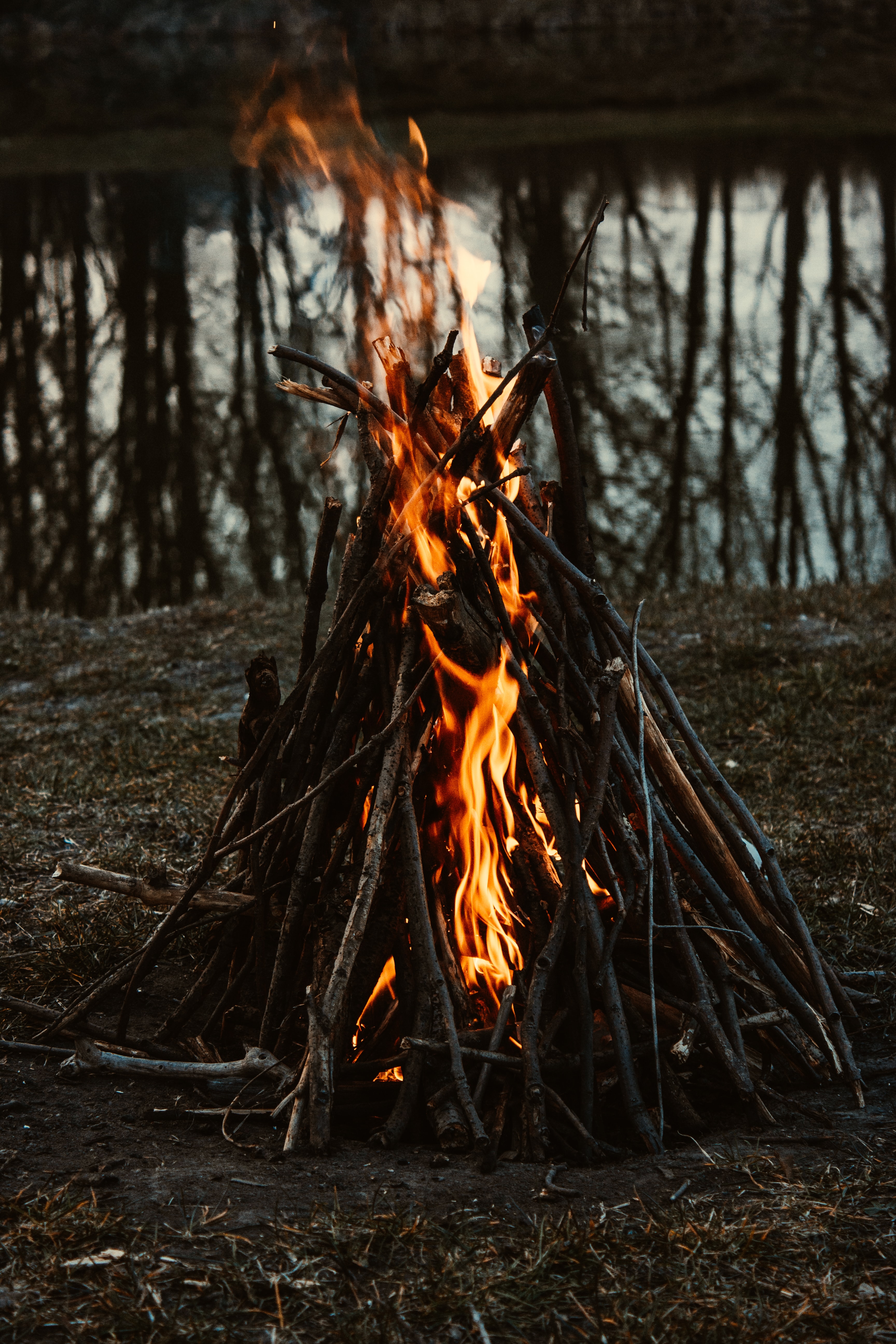 fire, bonfire, flame, miscellanea, miscellaneous, branches, hike, campaign 4K