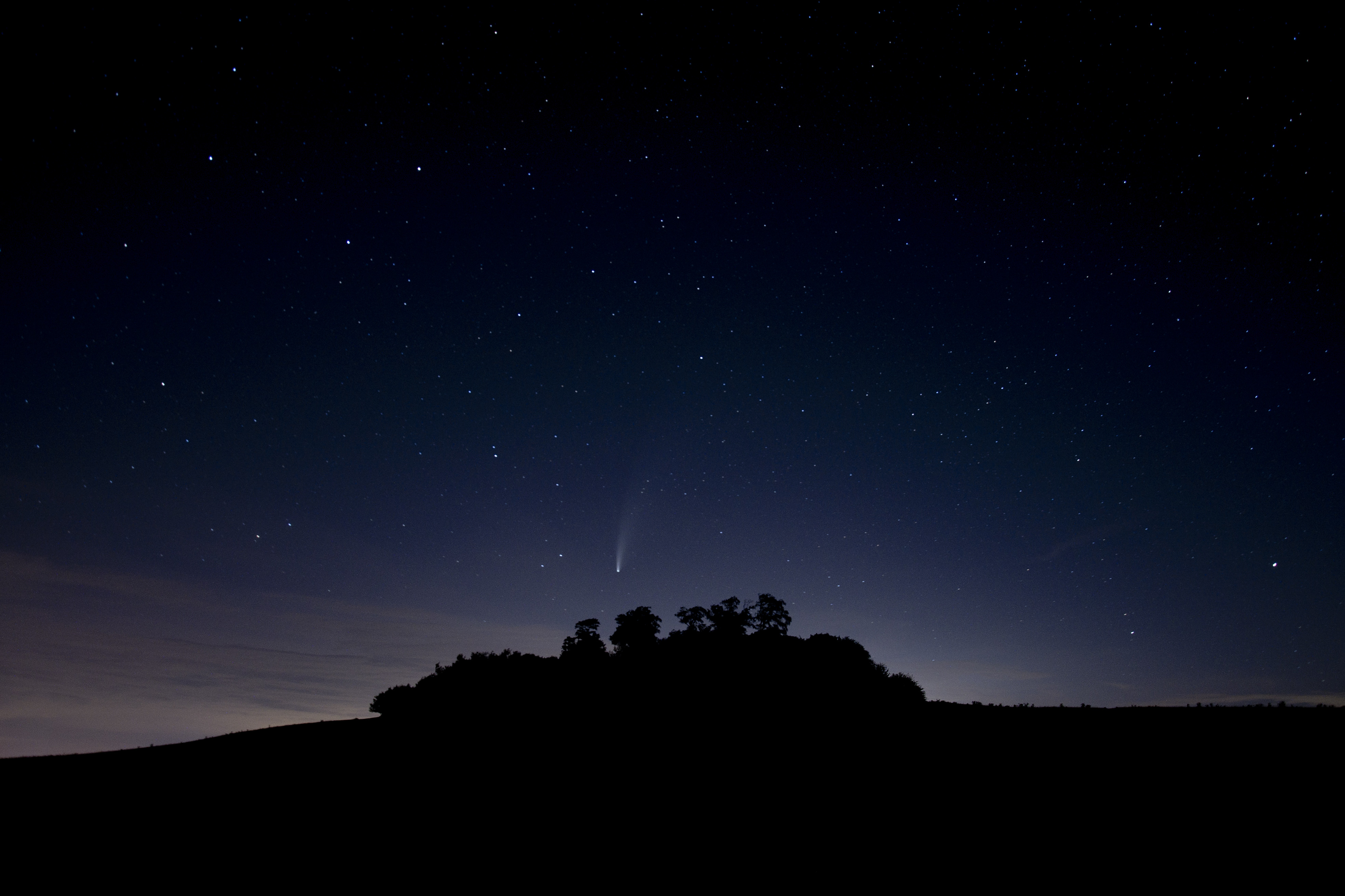 silhouette, starry sky, trees, stars, night, dark 32K