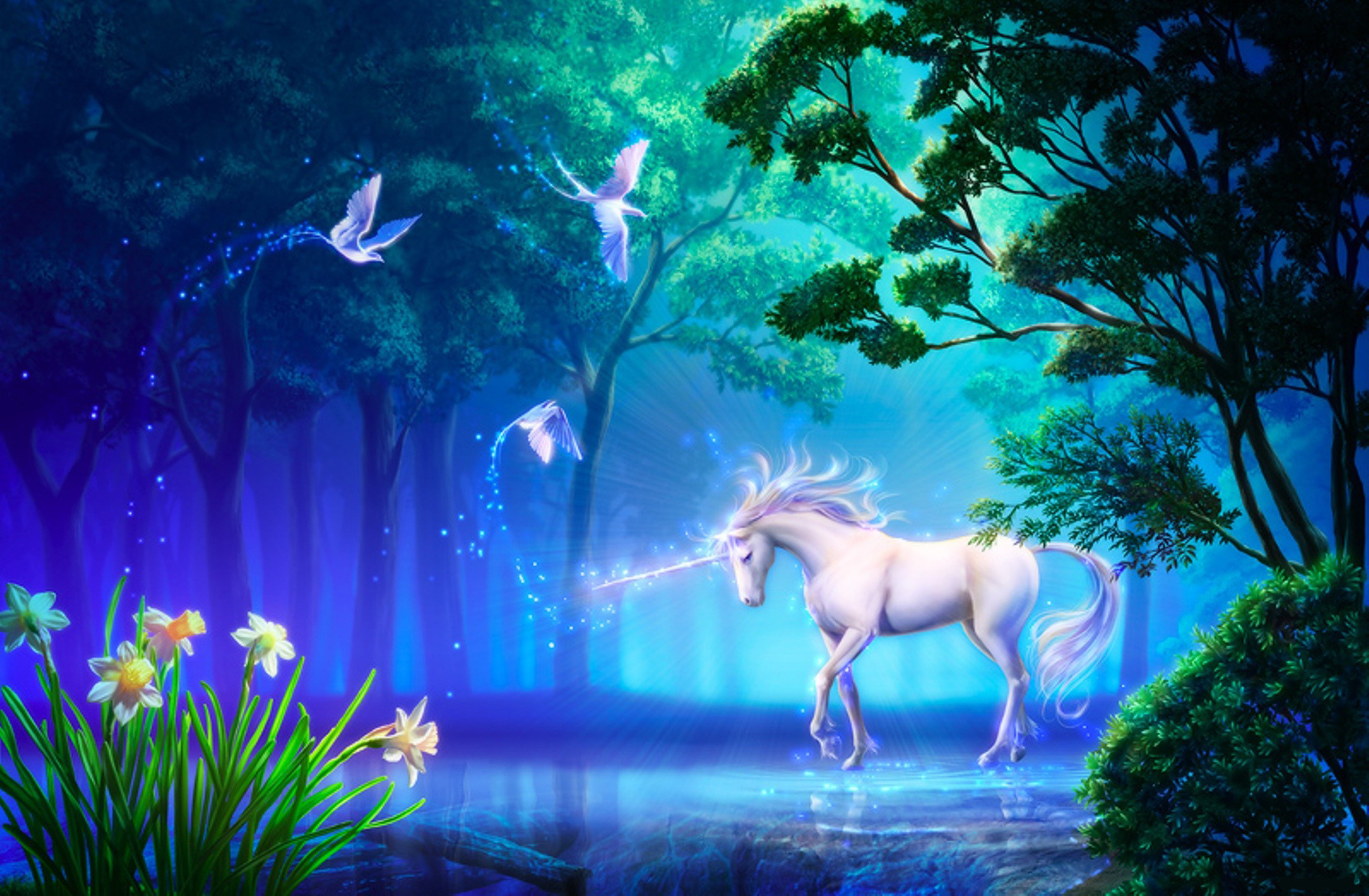 fantasy, unicorn, fantasy animals iphone wallpaper