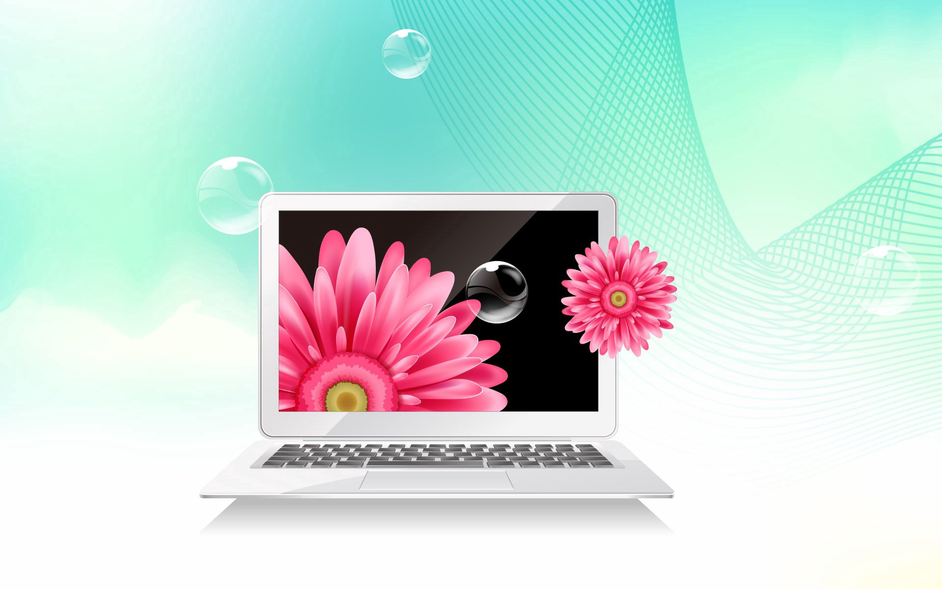 laptop, flowers, bubbles, vector, grid, picture, notebook