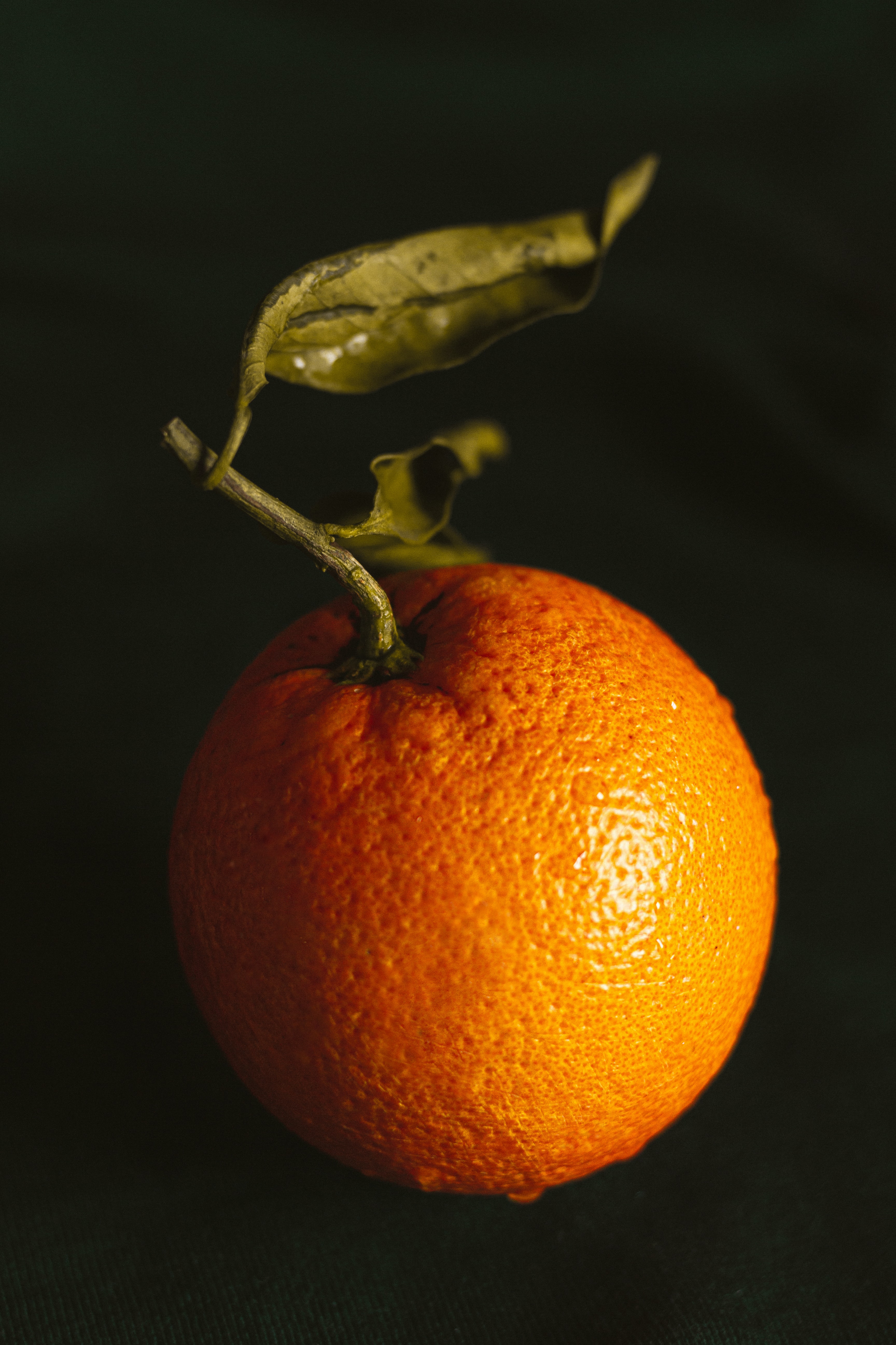 128659 Hintergrundbilder und Zitrus Bilder auf dem Desktop. Laden Sie orange, zitrusfrüchte, frucht, die frucht Bildschirmschoner kostenlos auf den PC herunter