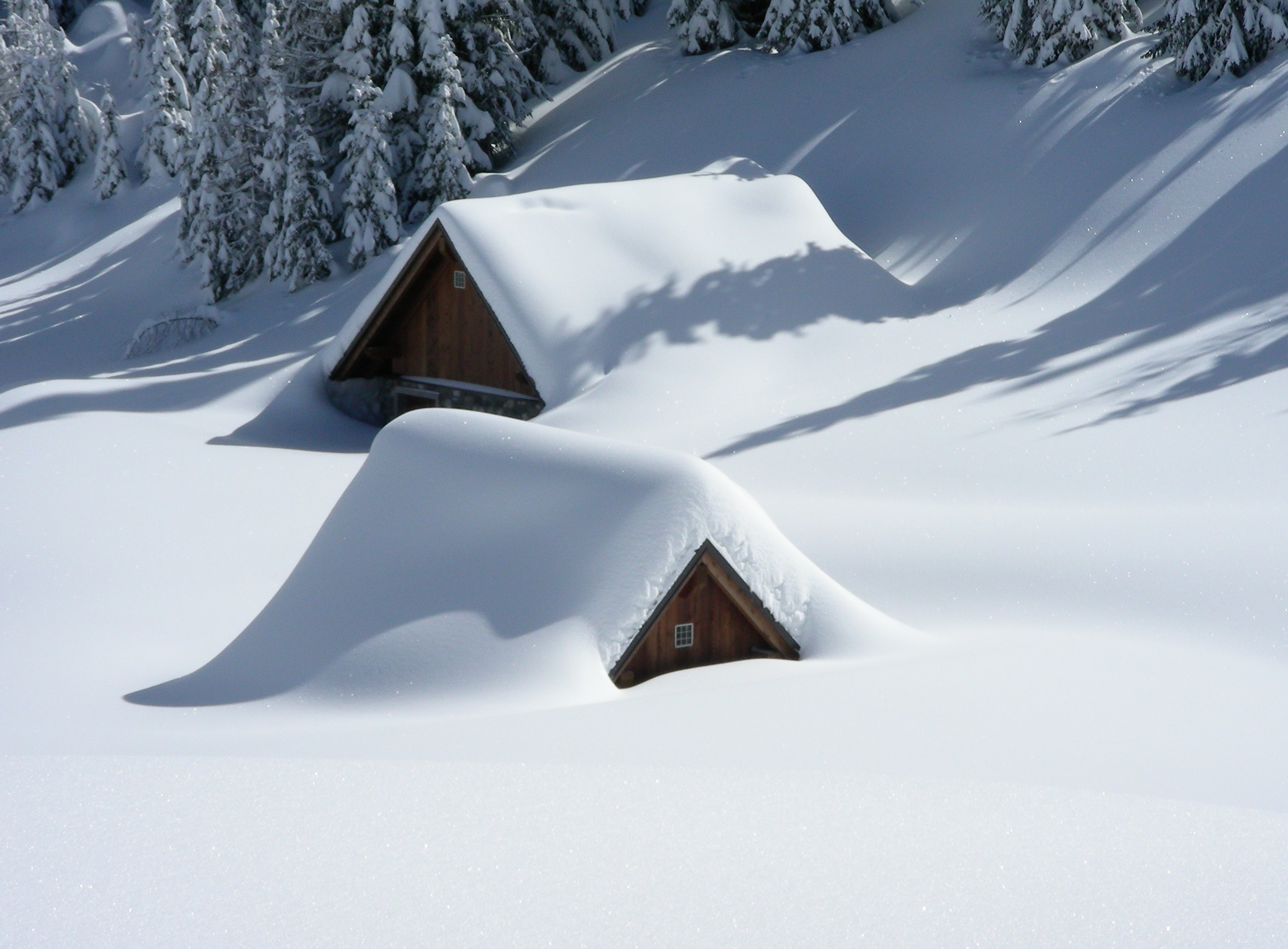 HD wallpaper snow, nature, trees, building, elevation