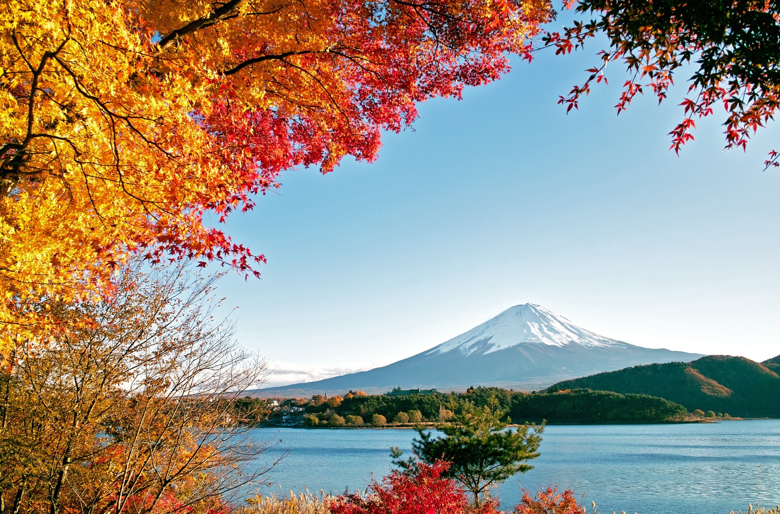 343175壁紙のダウンロード地球, 富士山, 色, 秋, 藤山, 日本, 葉, 火山-スクリーンセーバーと写真を無料で
