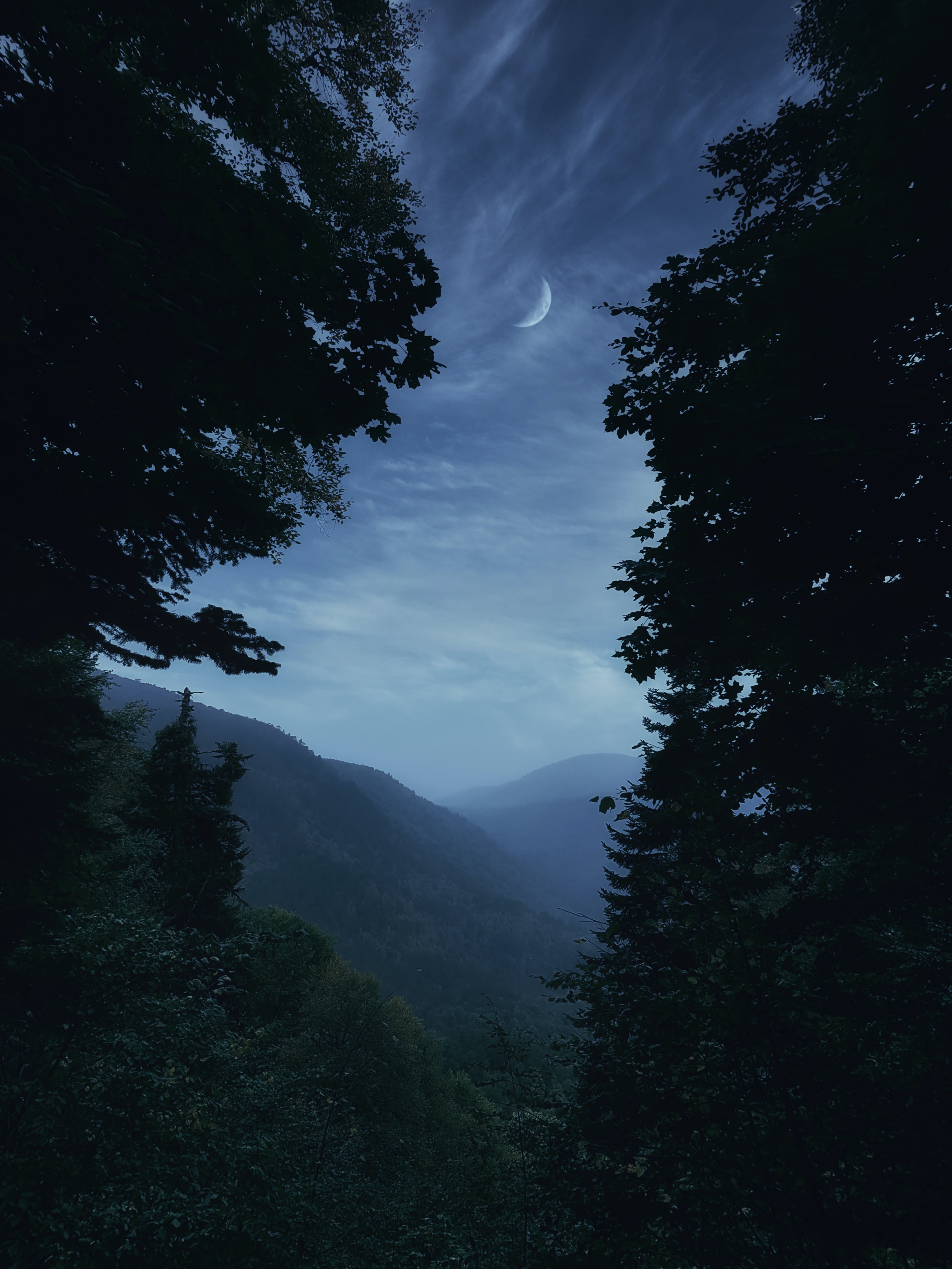 moon, landscape, nature, trees, mountains, twilight, fog, dusk phone background