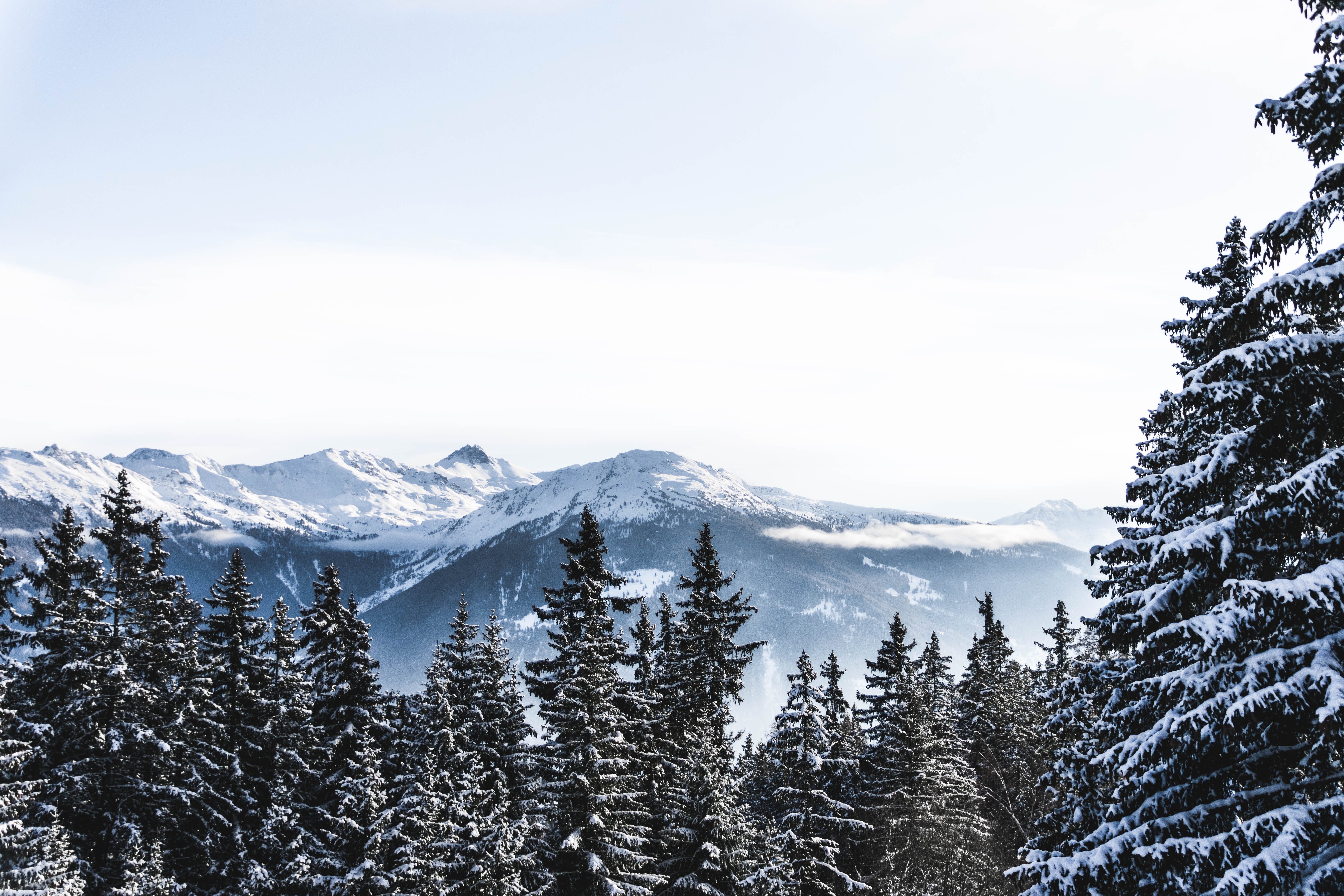 89021 Bildschirmschoner und Hintergrundbilder Schweiz auf Ihrem Telefon. Laden Sie winter, natur, mountains, schnee, oberteile, scheitelpunkt, schweiz, schneebedeckt, snowbound Bilder kostenlos herunter