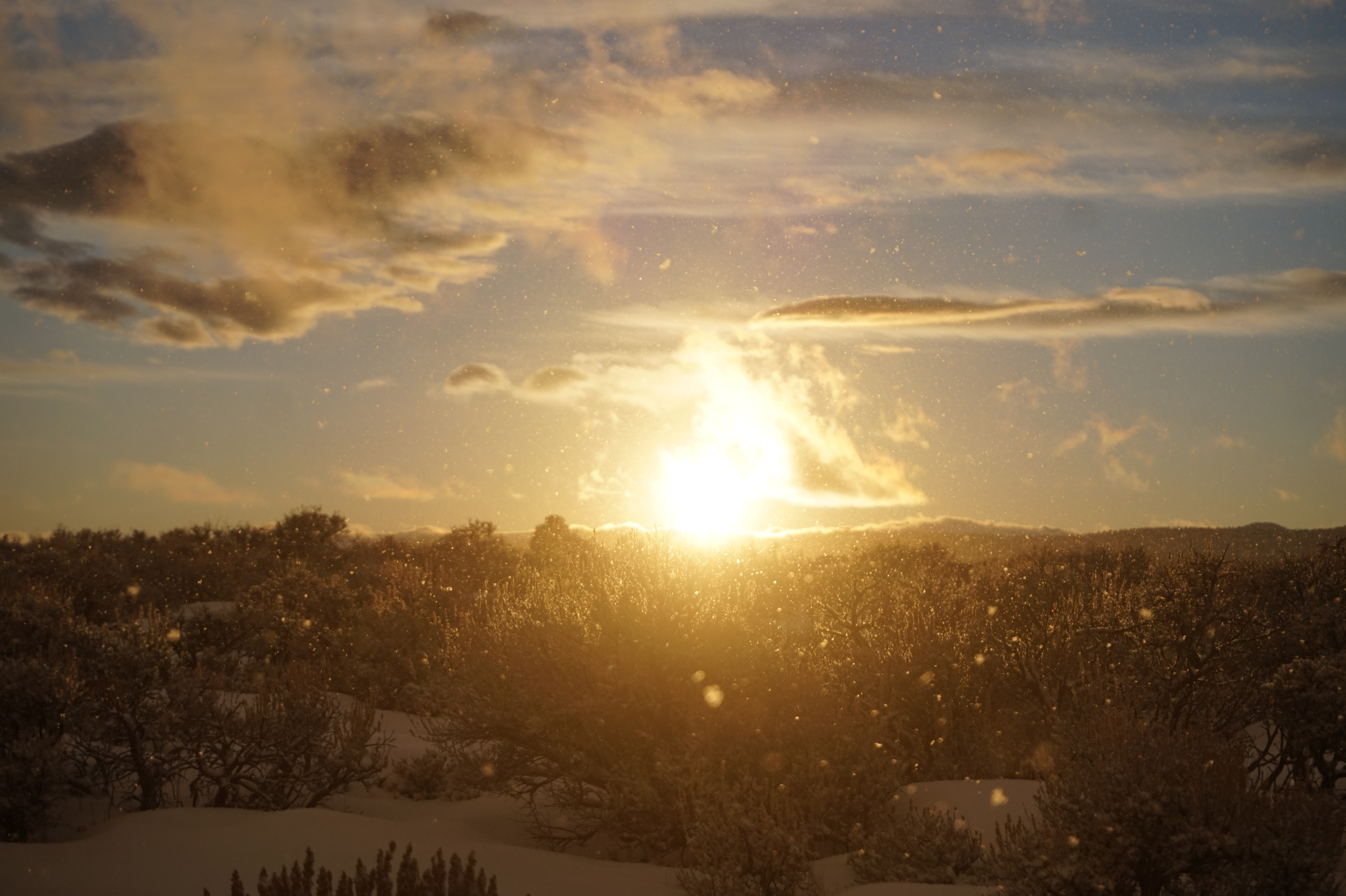 134432 Hintergrundbild herunterladen winter, natur, sunset, sun, schnee, schneesturm - Bildschirmschoner und Bilder kostenlos