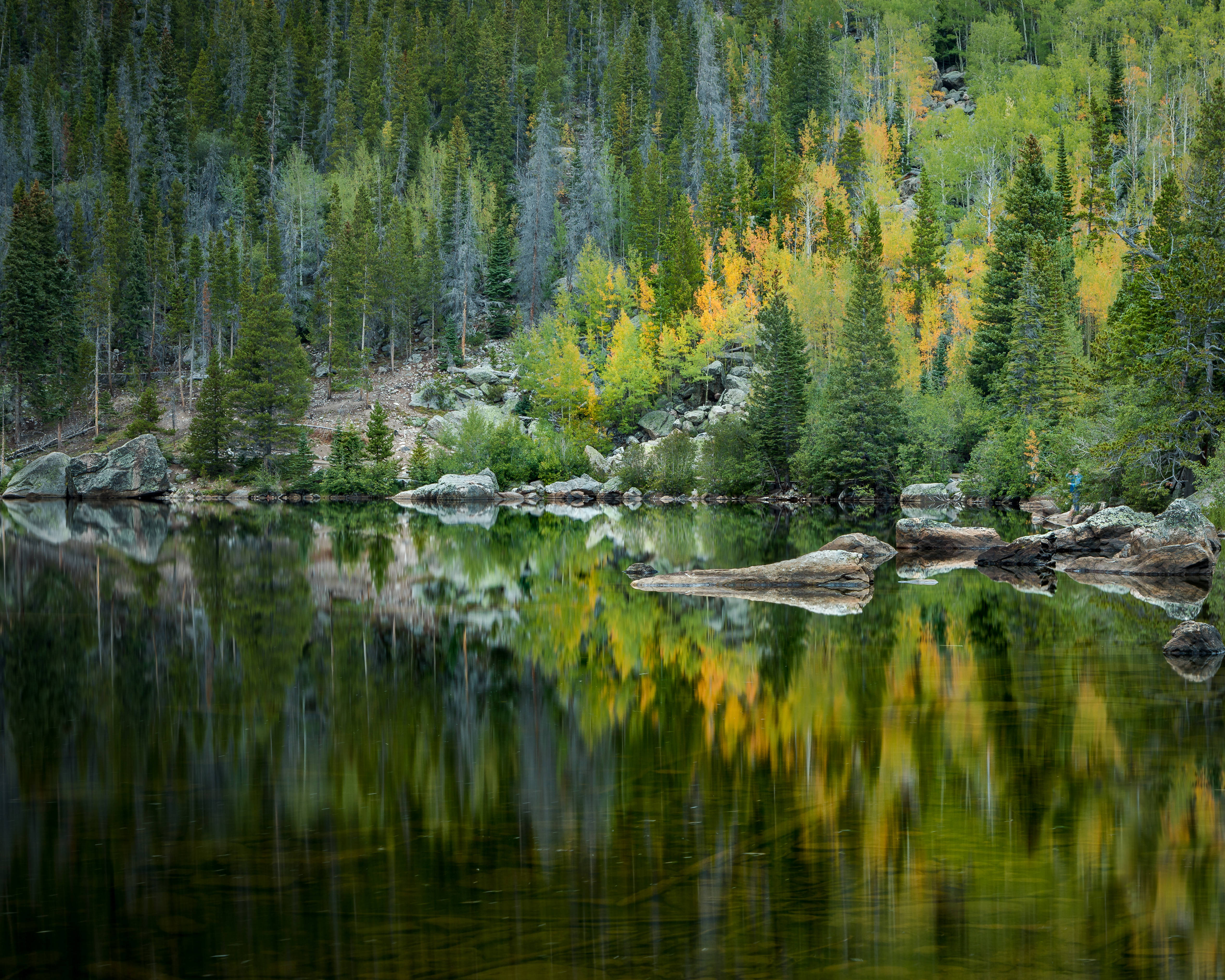 Reflection forest, lake, trees, nature Desktop FHD